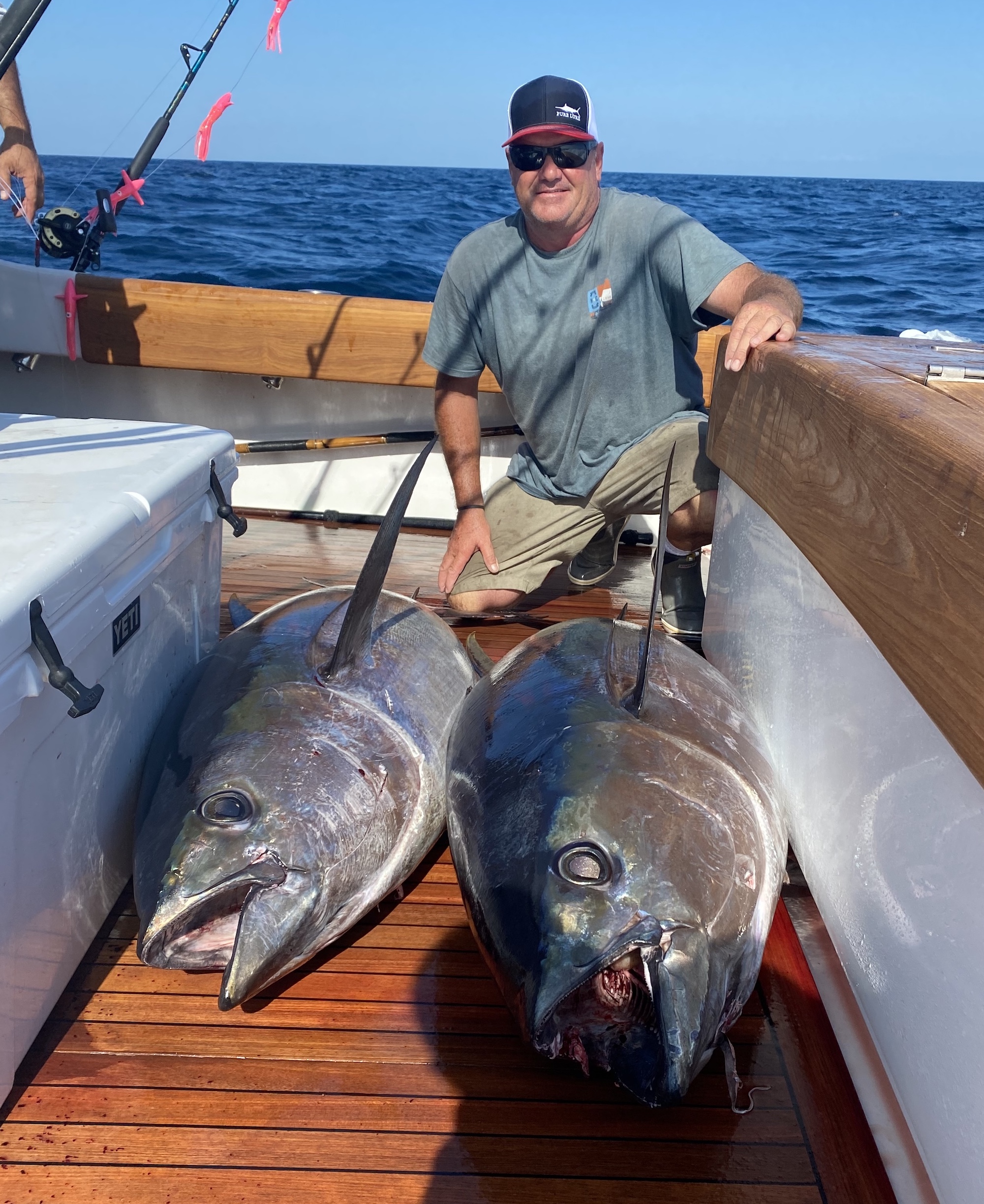 A Few More Big Eyes and Some Blue Marlin Releasing