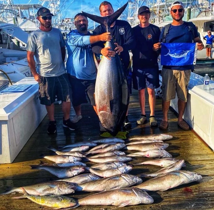 A Good Bite and A 209 Pound Bigeye