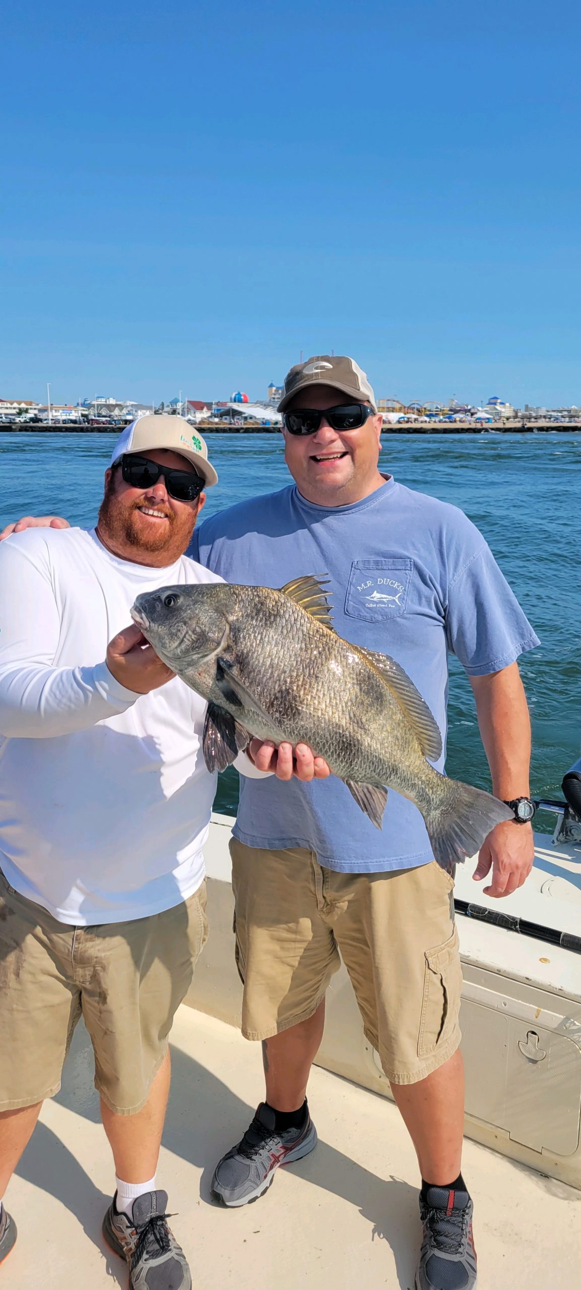 Good Bite in the Bay