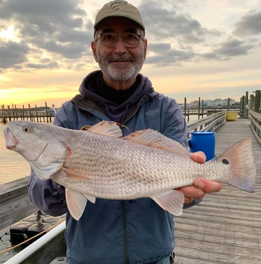 Good Fishing at The Oceanic Pier