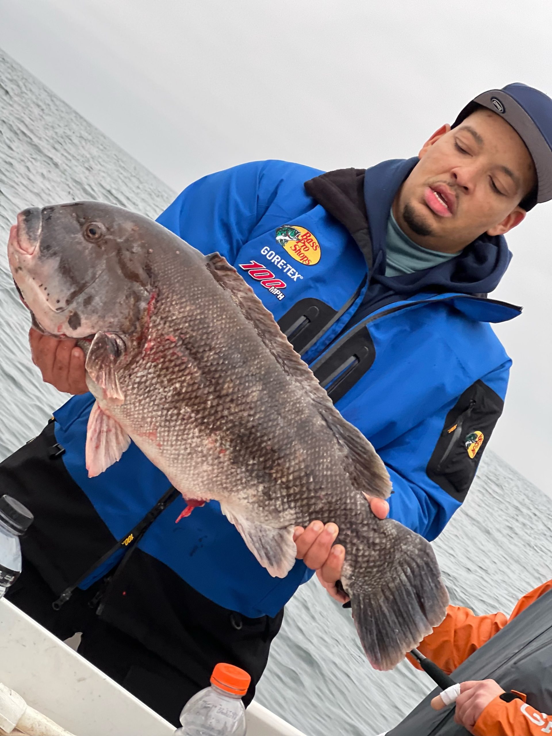 Sea Bass, Scup, 20 Pound Tautog and A Seasick Blogger