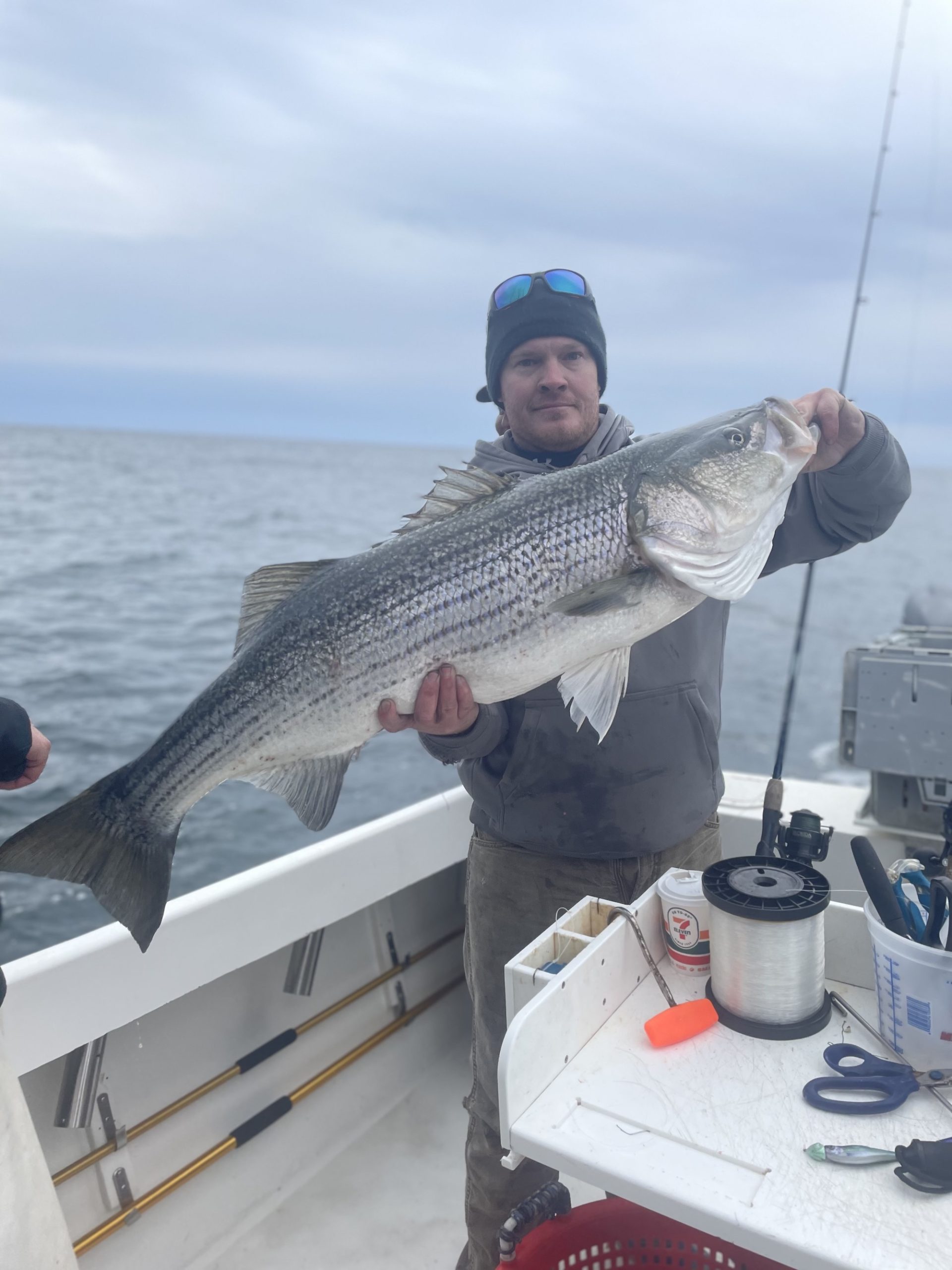 Plenty of Sea Bass and Some Jumbo Rock