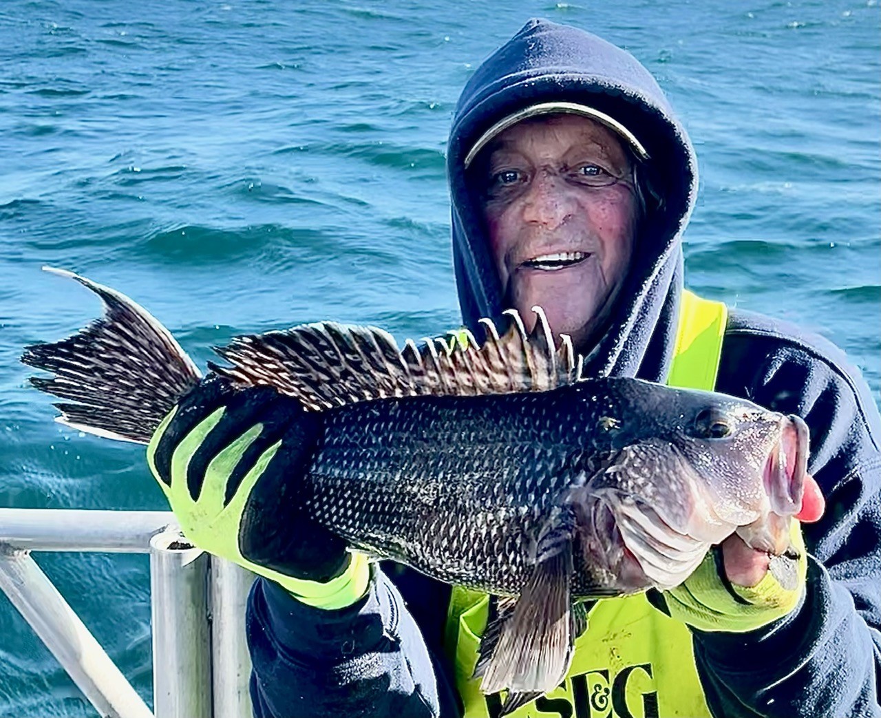 A Limit of Sea Bass, Some Tautog and Some Rock