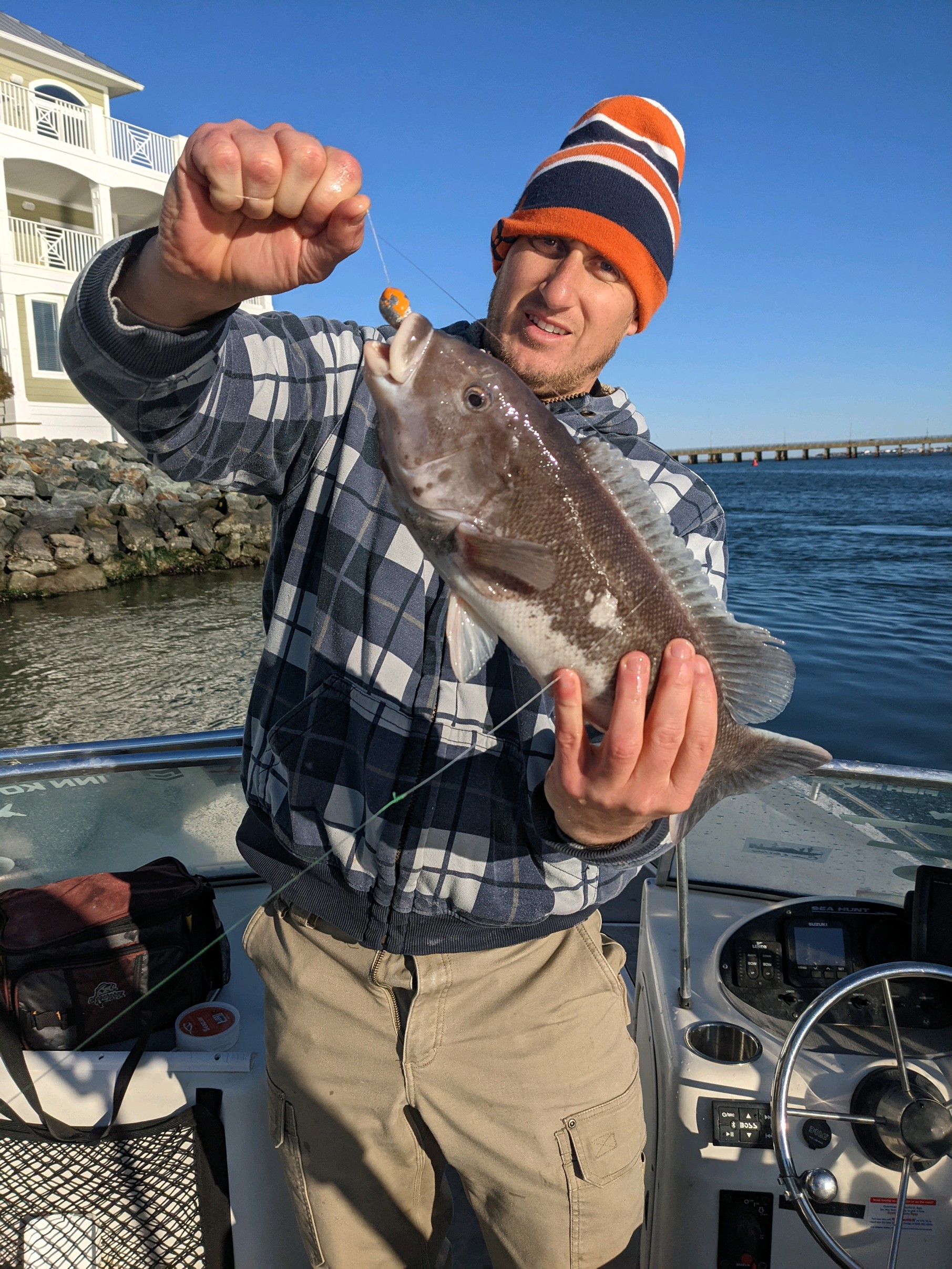 Quick Little Tautog Session