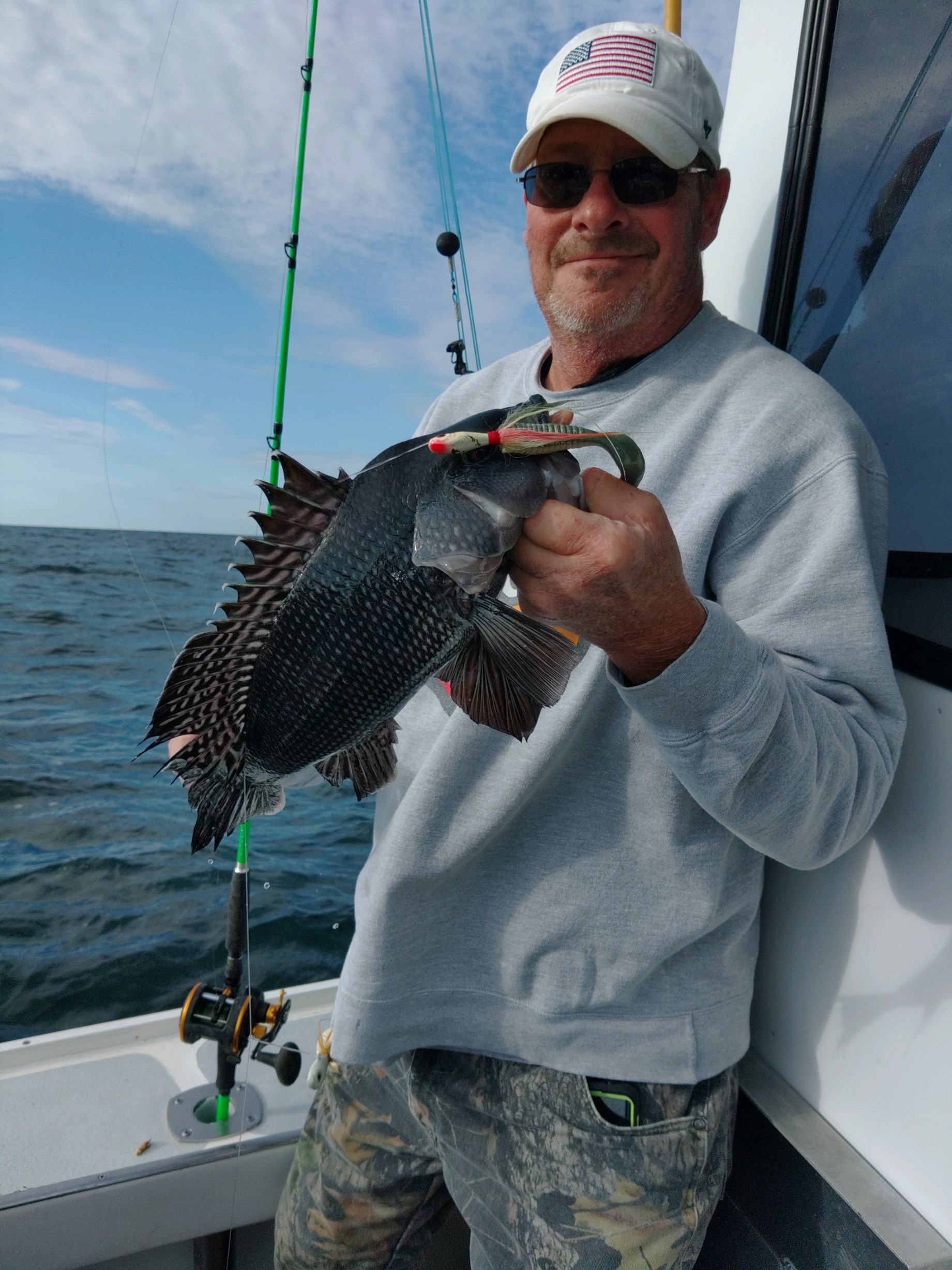 Sea Bass Limit in Forty Five Minutes