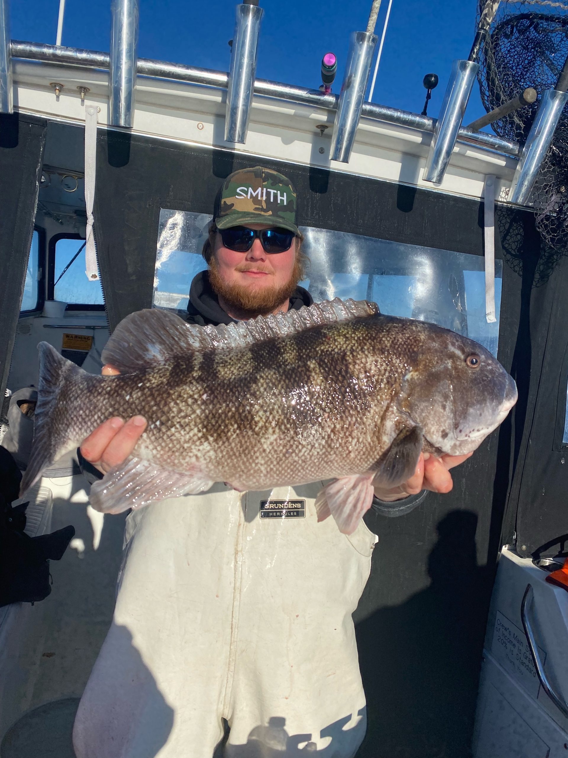 Double Digit Tautog Before A Blizzard