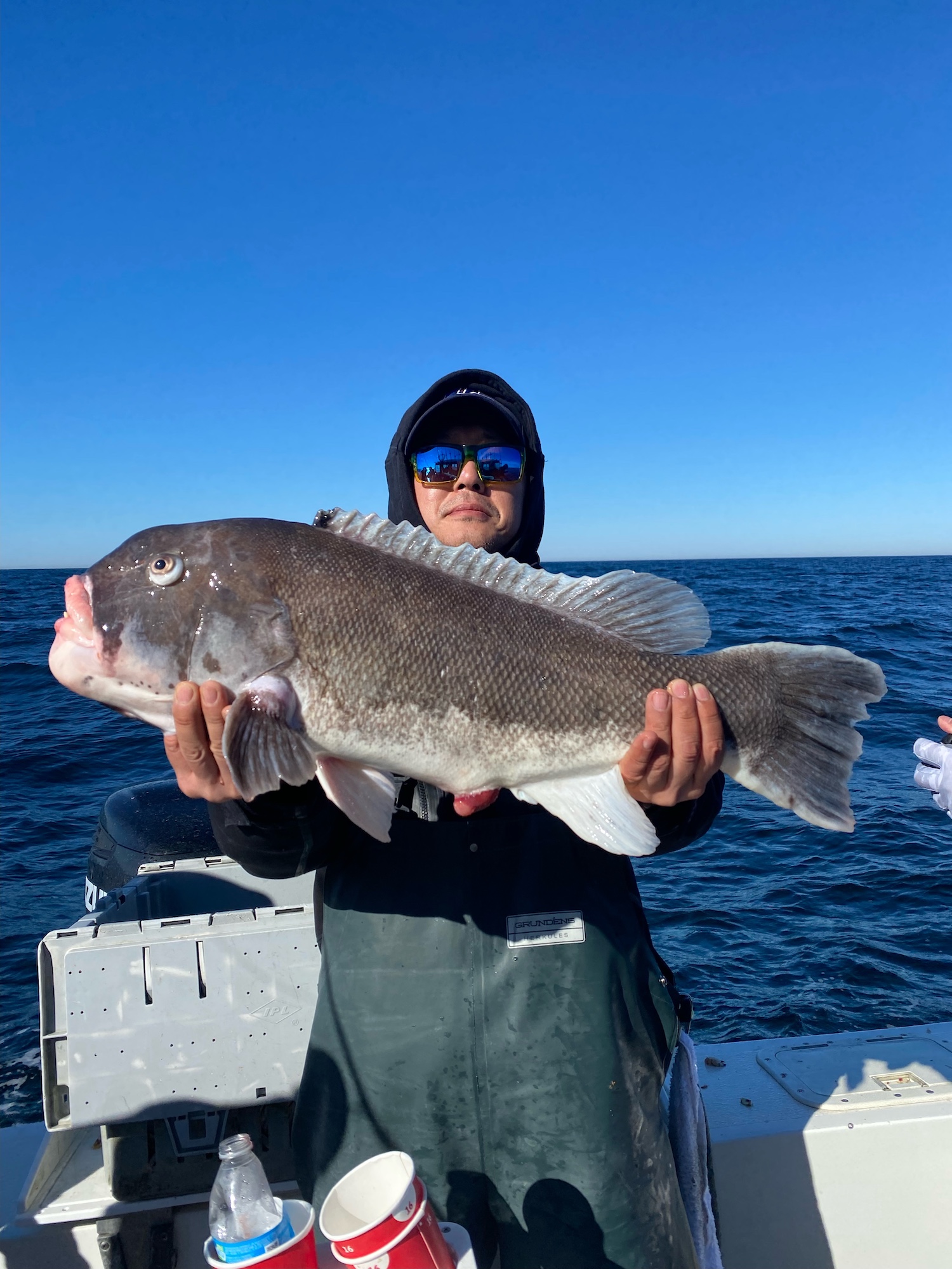 A Few Jumbo Tog