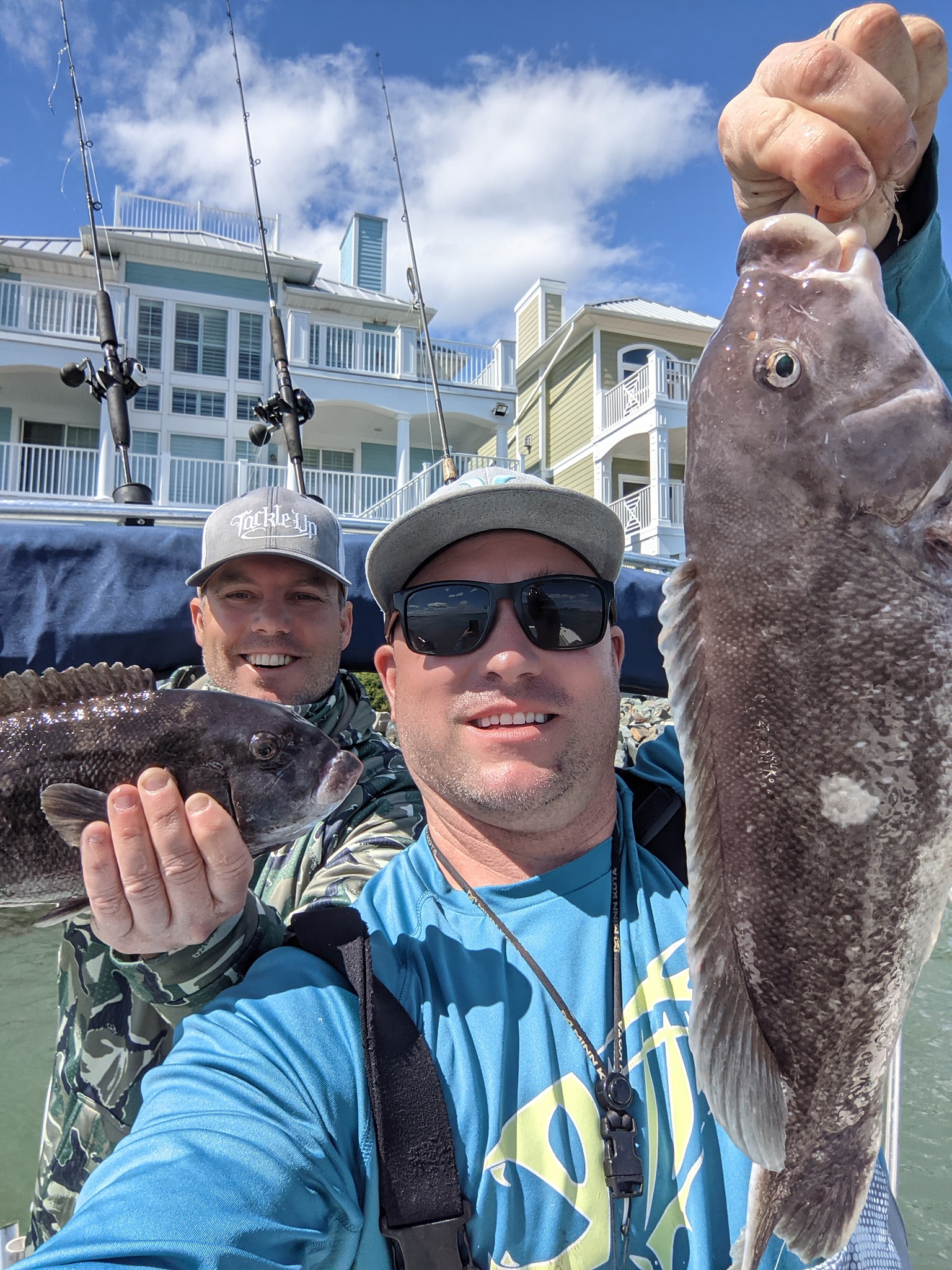 Tautog in Ocean City’s Back Bay