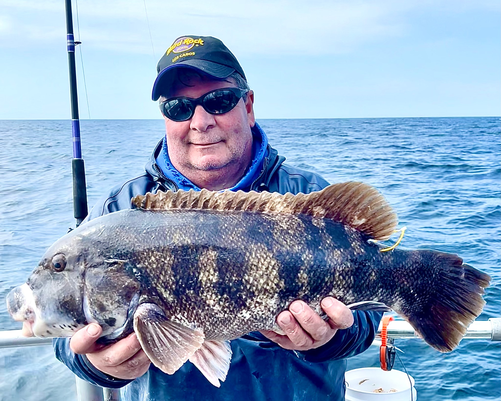 Some Sea Bass and a Slow Pick of Tautog