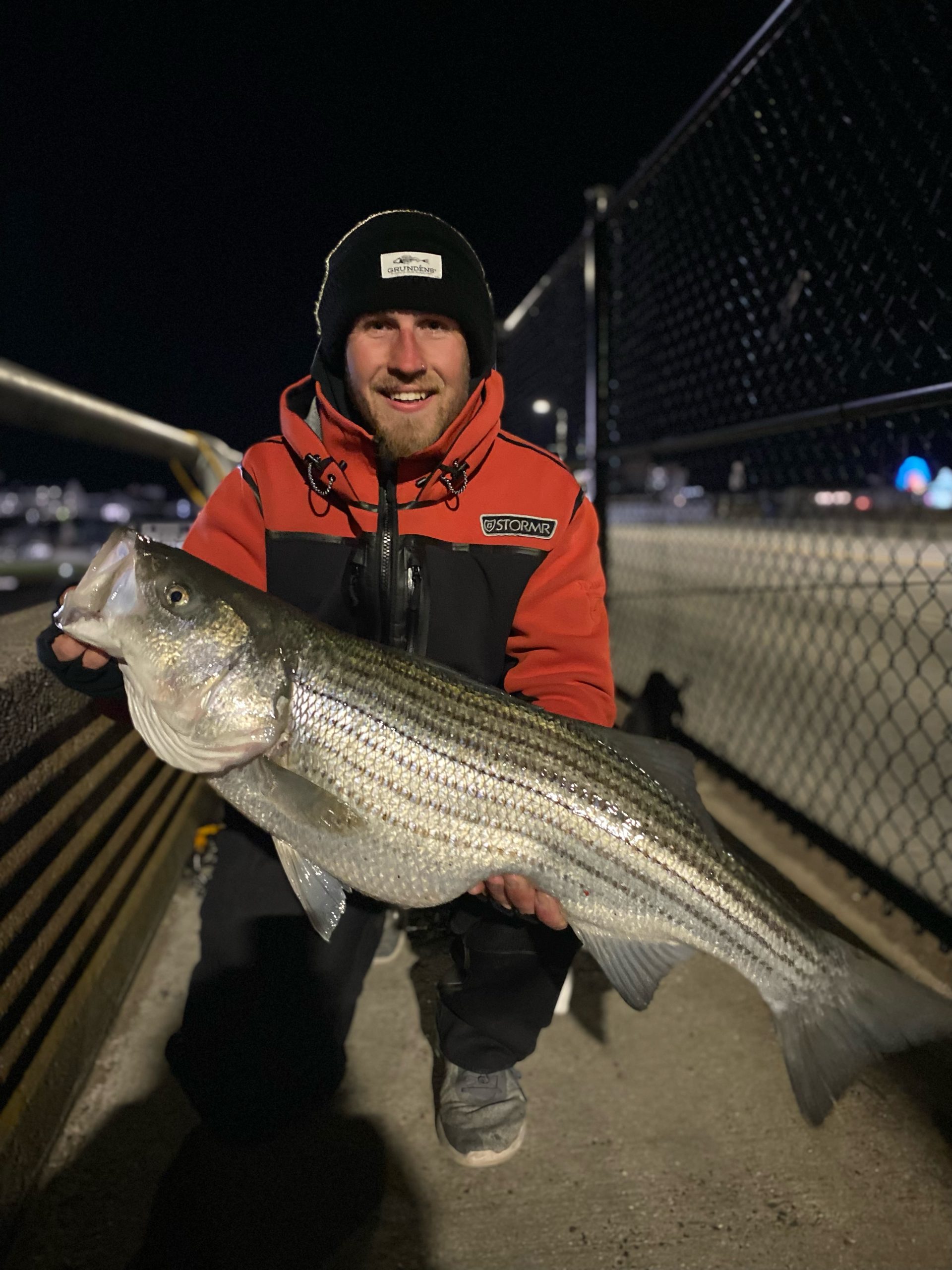 Fish in The Wind and Cold