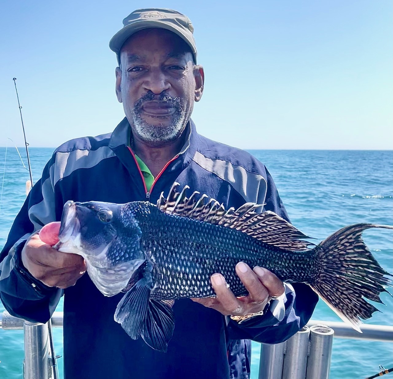 Real Pretty Sea Bass