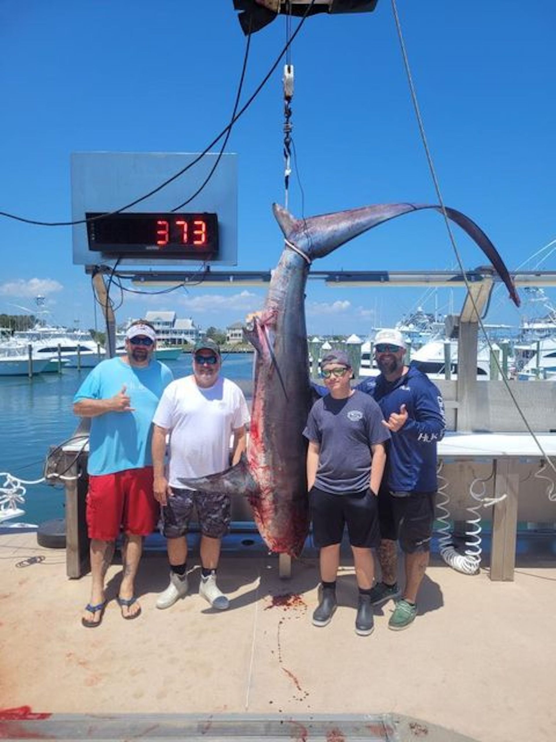 Good Fishing and A 373 Pound Thresher Shark
