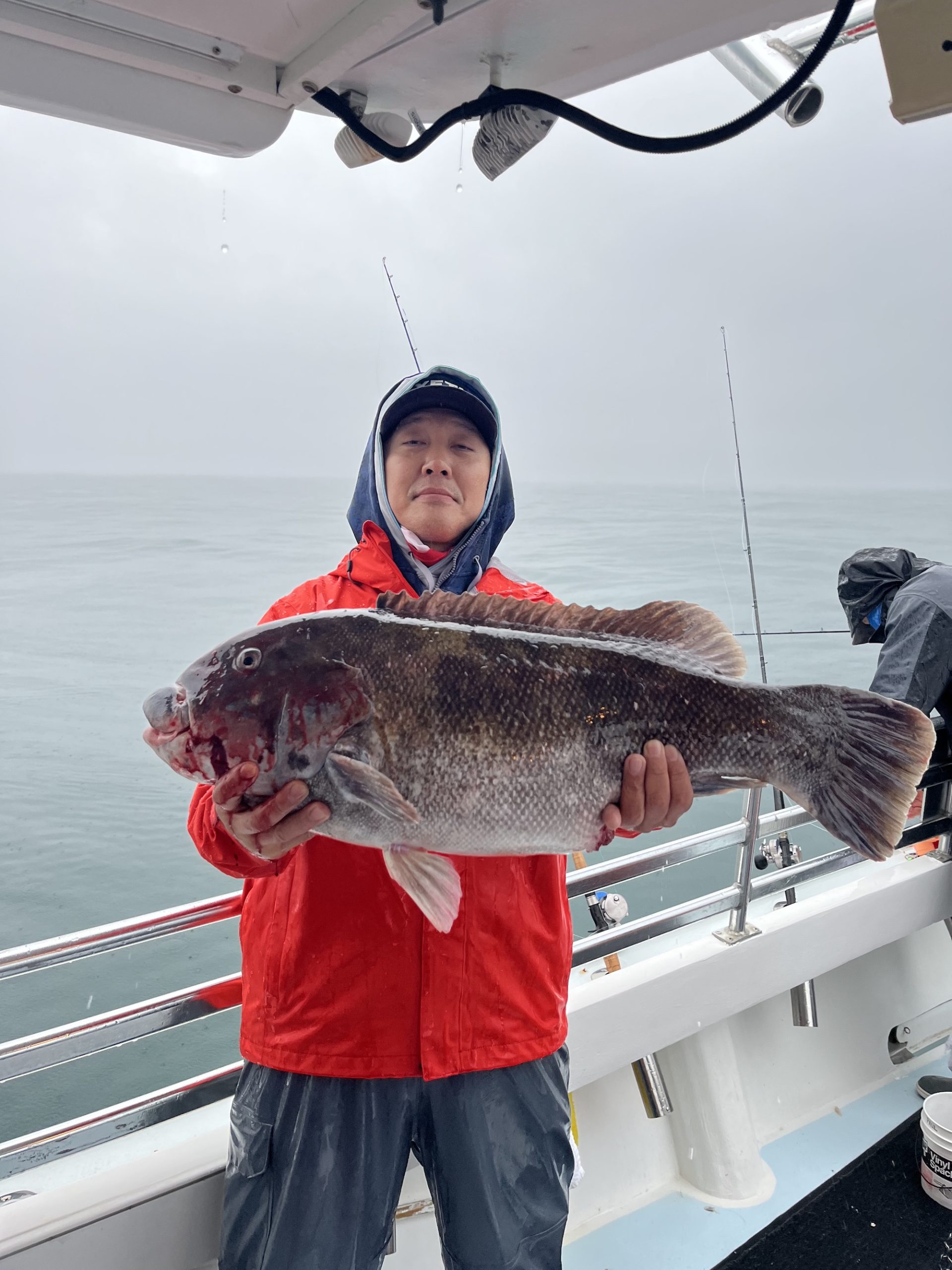 In With Sea Bass and Out With Tog