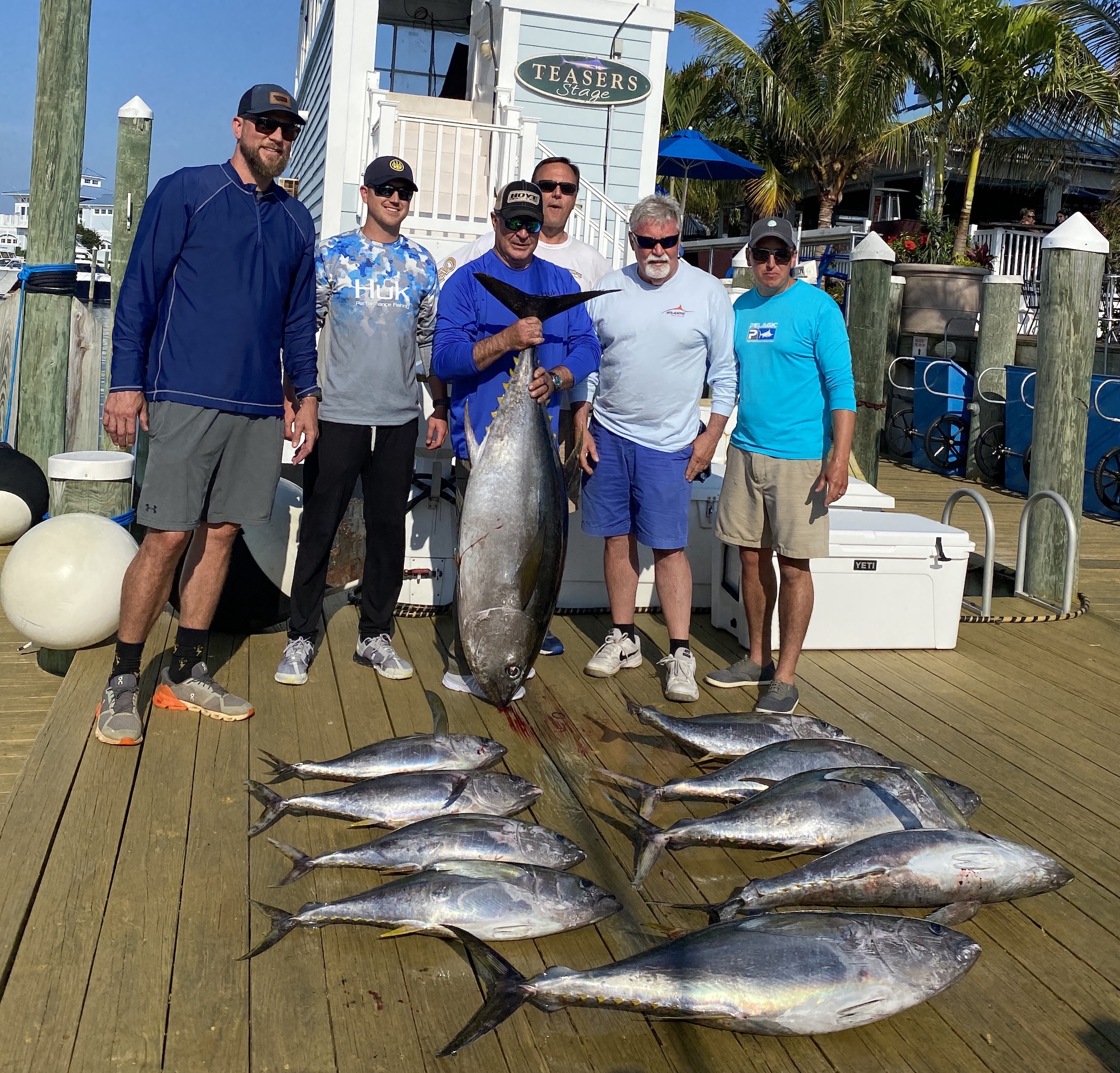 A Nice Bigeye and Some BLTs (Barely Legal Tunas)