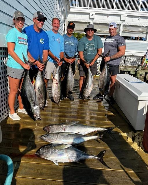 Spotty Tuna Fishing, Good Sea Bass