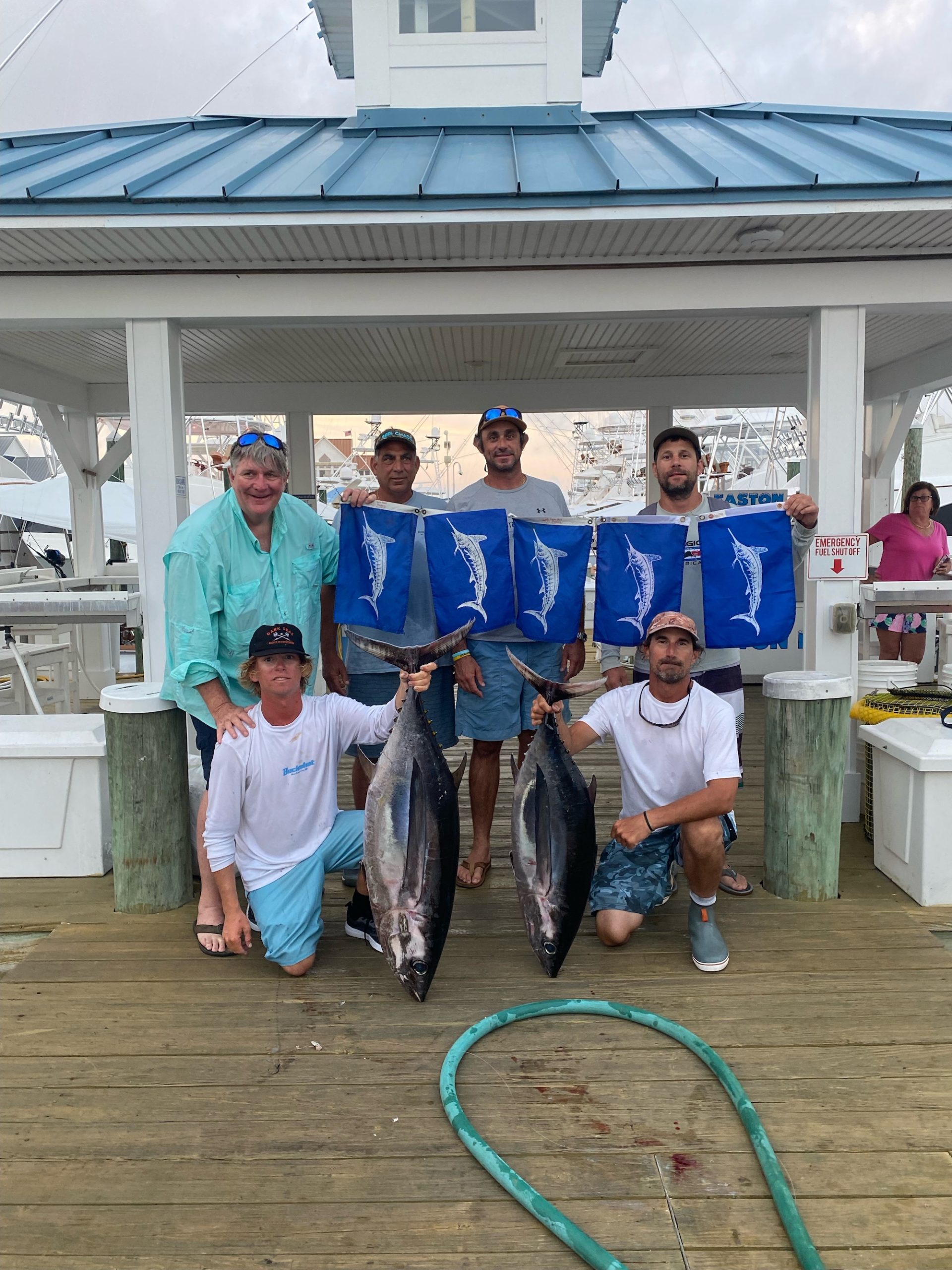 Finally Some Marlins Around