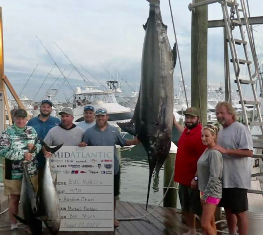 Two Big Blue Marlin Land on Day 1 of the 2022 MidAtlantic