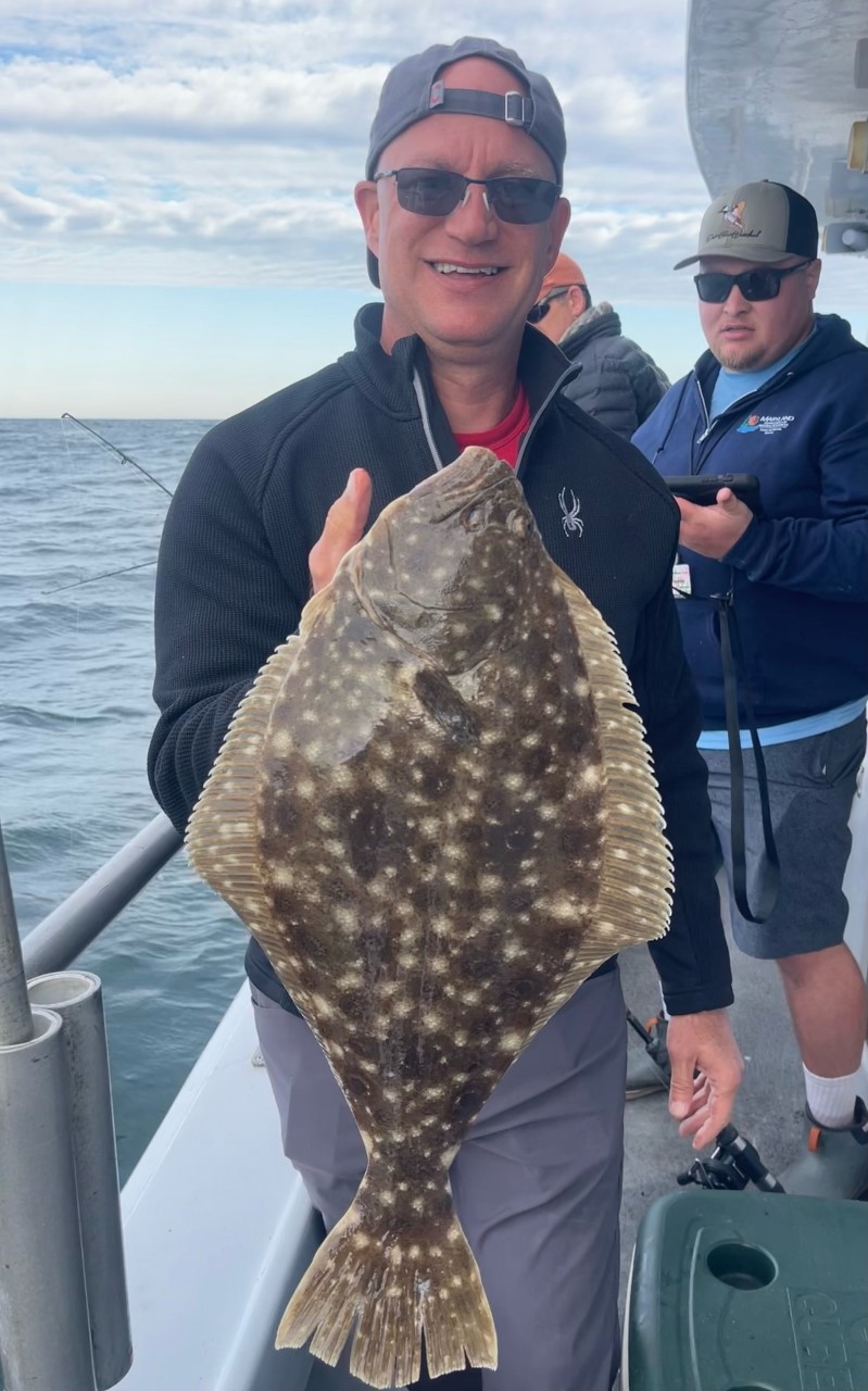 Flounder and Sea Bass