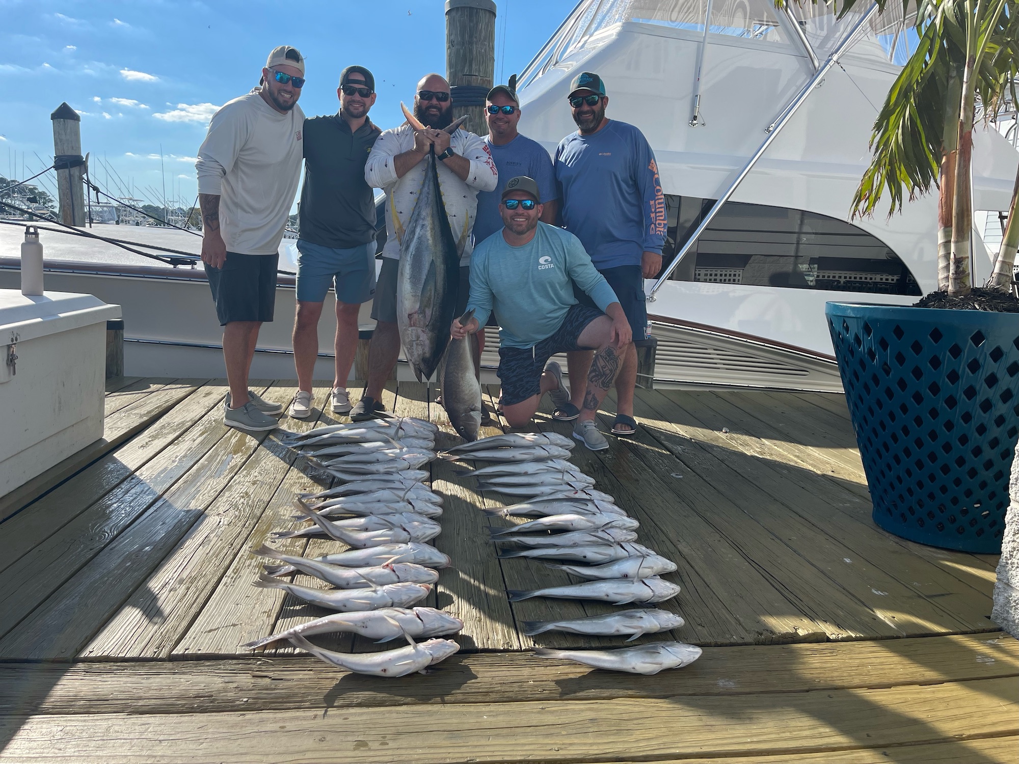 Some Marlin, Some Tuna, Some Mahi, Some Sea Bass