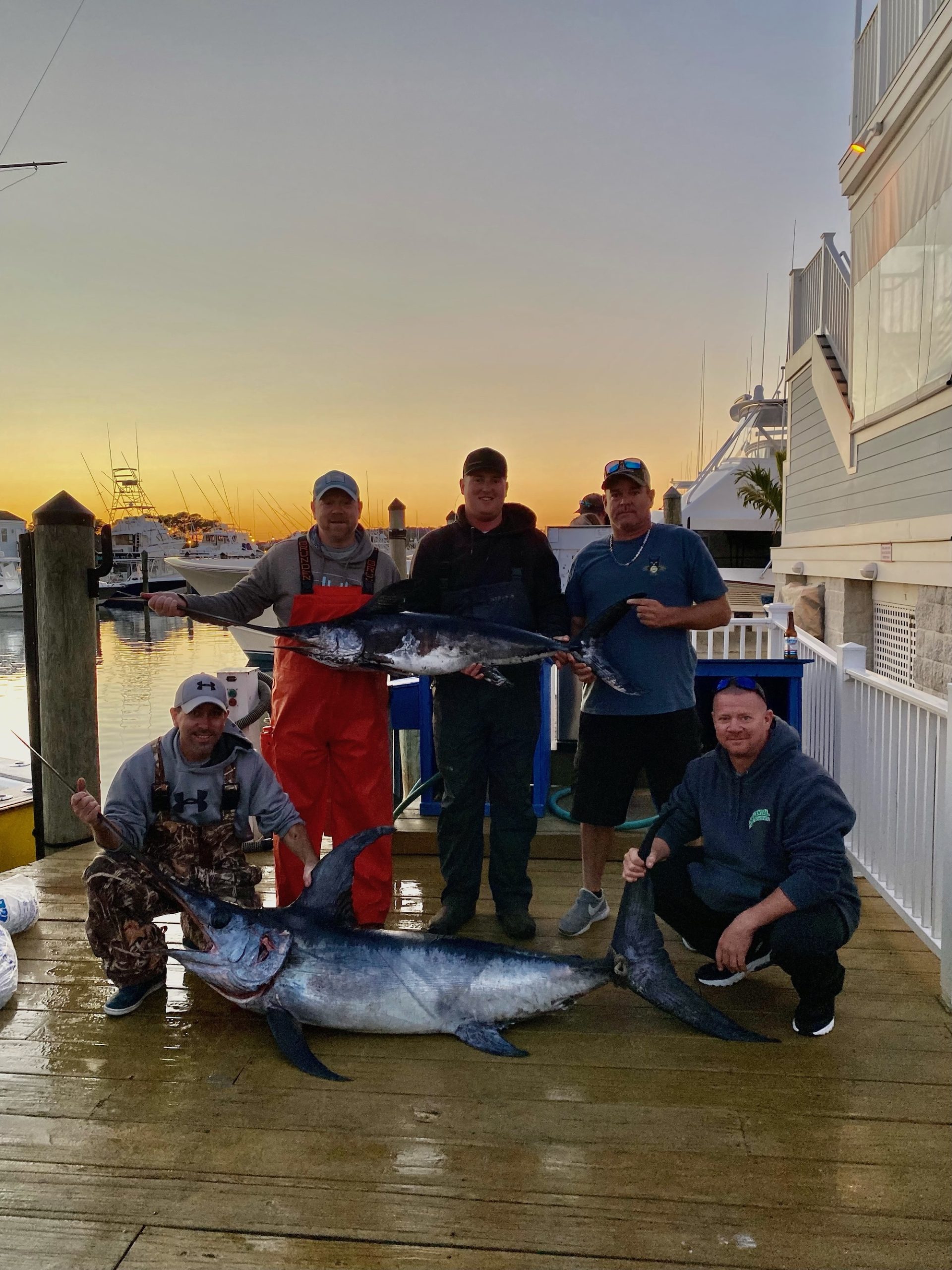 Swordfish, Sea Bass, Flounder, Rockfish and Sheep