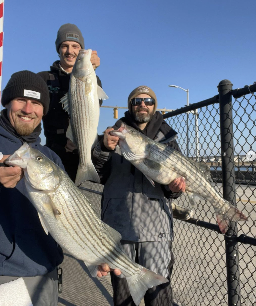 Rockfish and Some Red Drum