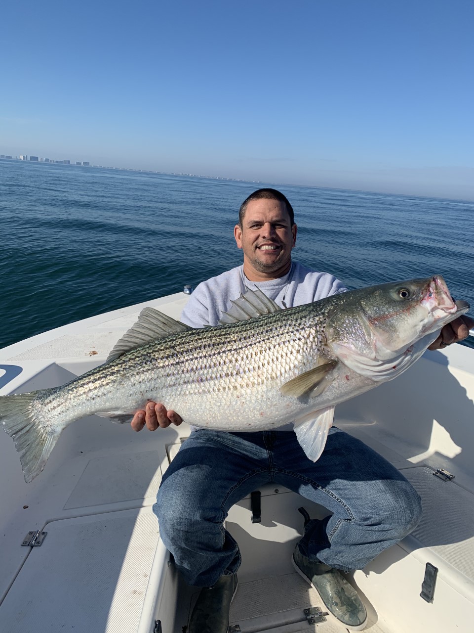 Jumbo Rockfish and Tautog To Over 16 Pounds