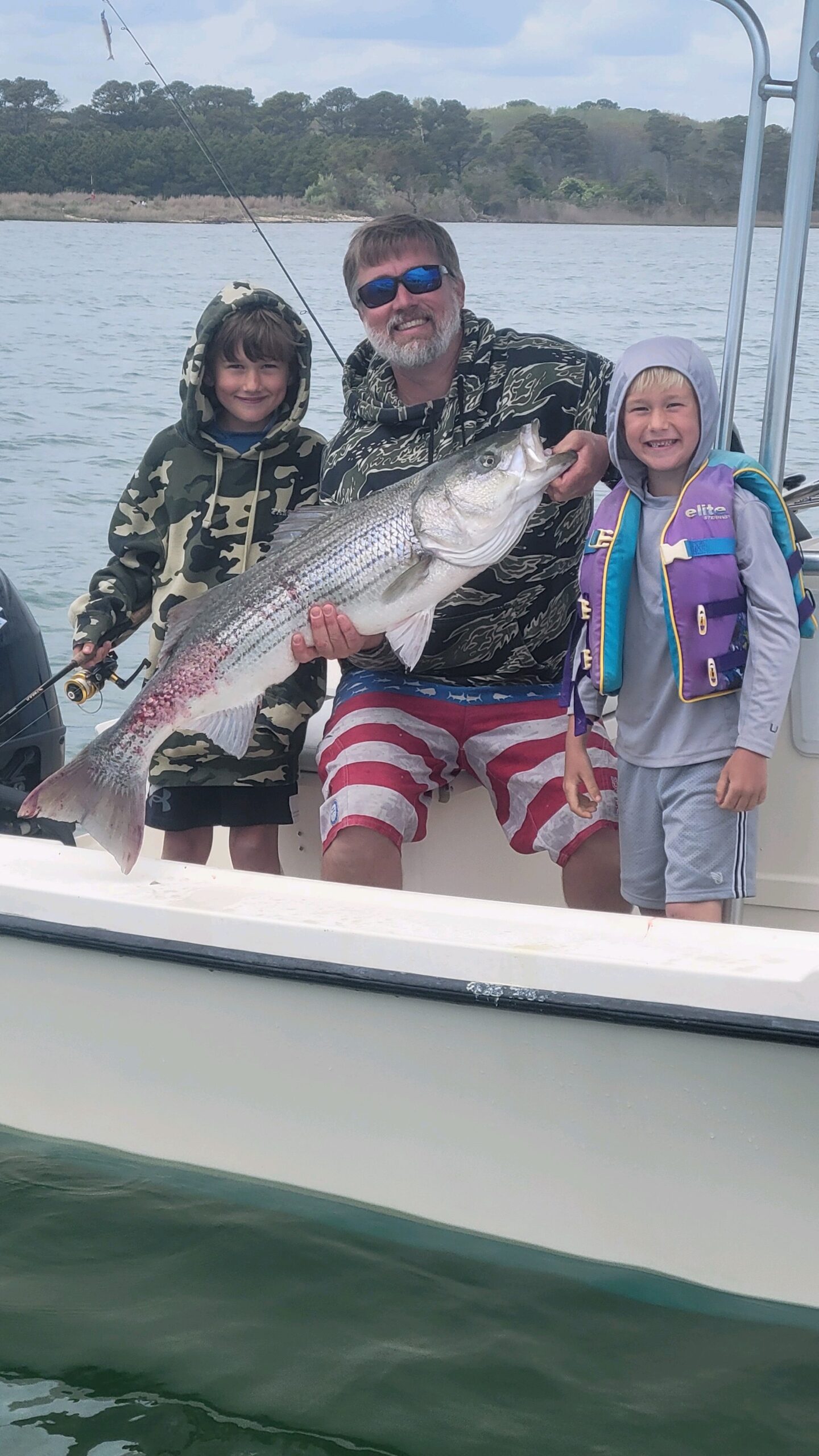 Some Larger Rockfish in the Bay