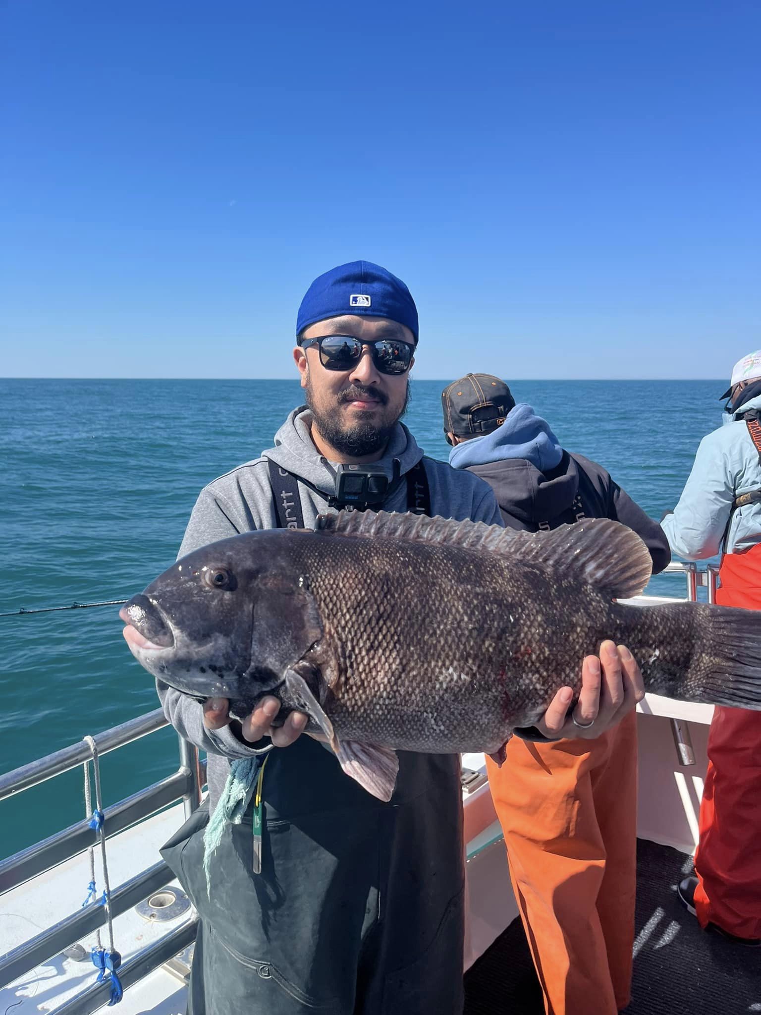 Tautog, Flounder, Shad and Rock