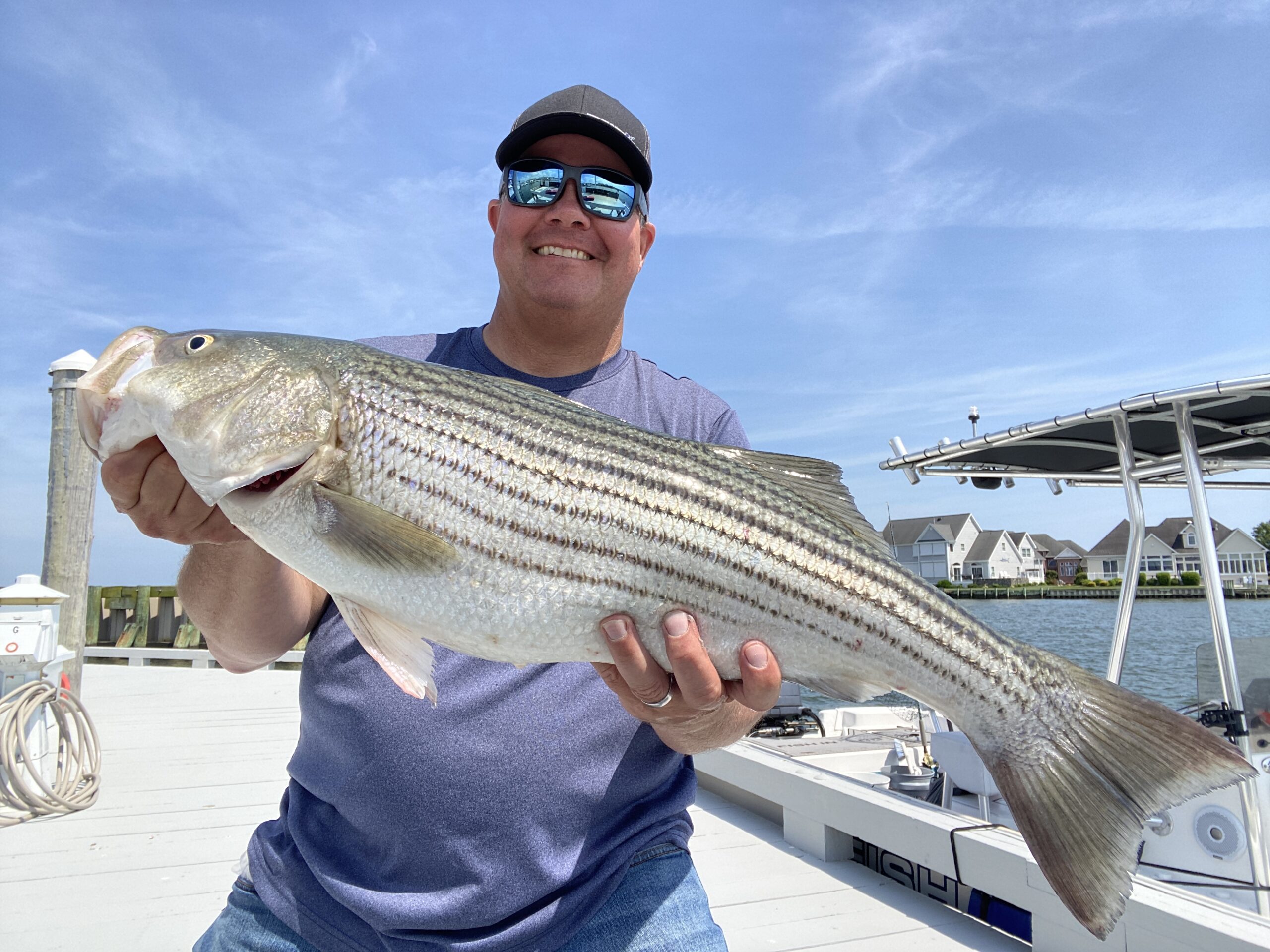 New Coastal Striped Bass Slot of 28″ to 31″ to Begin May 16
