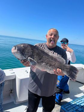 New Delaware State Record Tautog