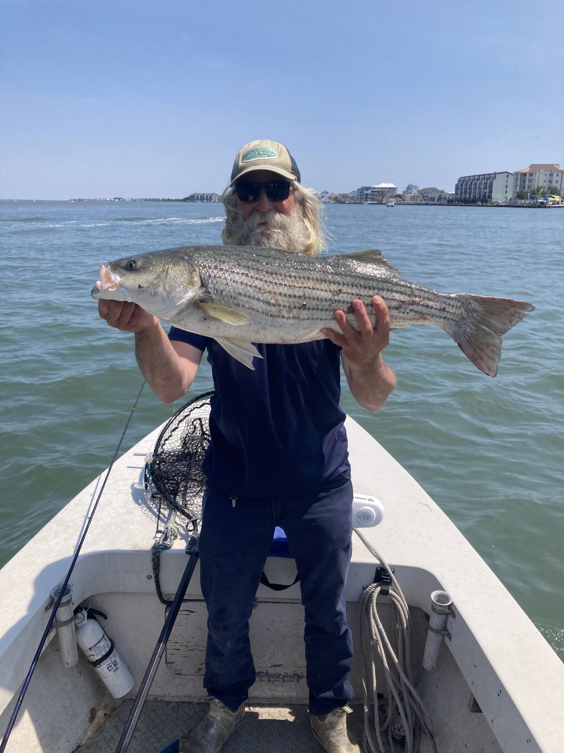 Tuna, Flounder, Sea Bass, Rock, Blues and A Great White Shark