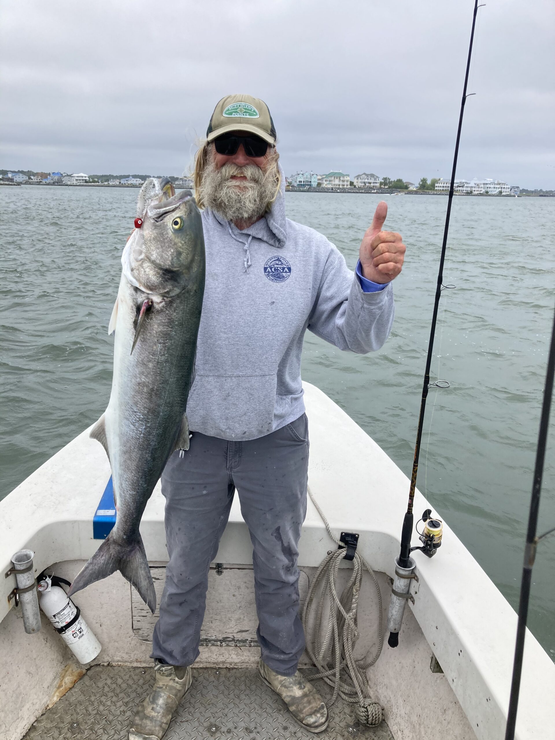 Some Tuna, Flounder and Bluefish Before the Wind