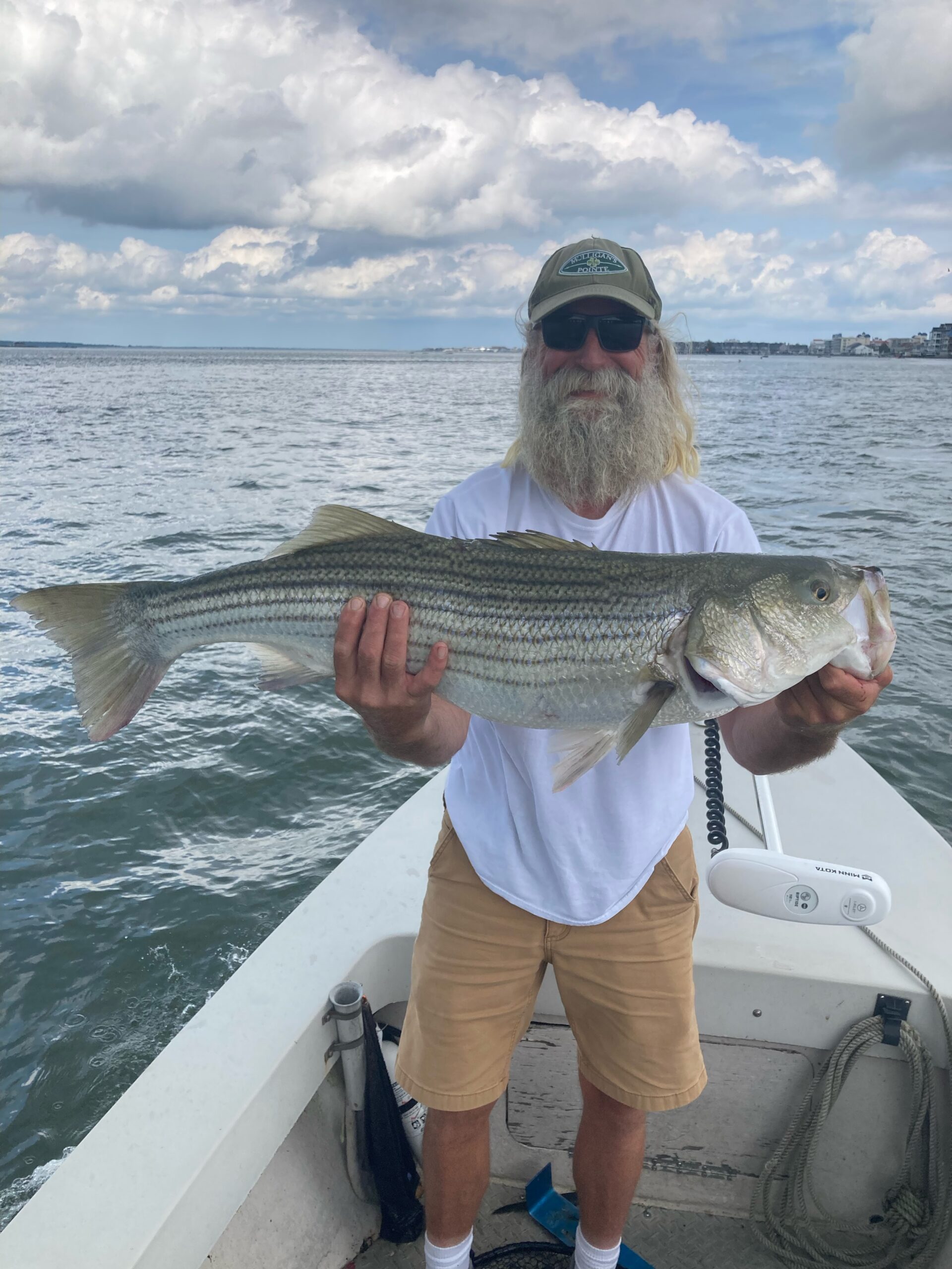 Seven Stripers, One Blue and Five Grey Trout