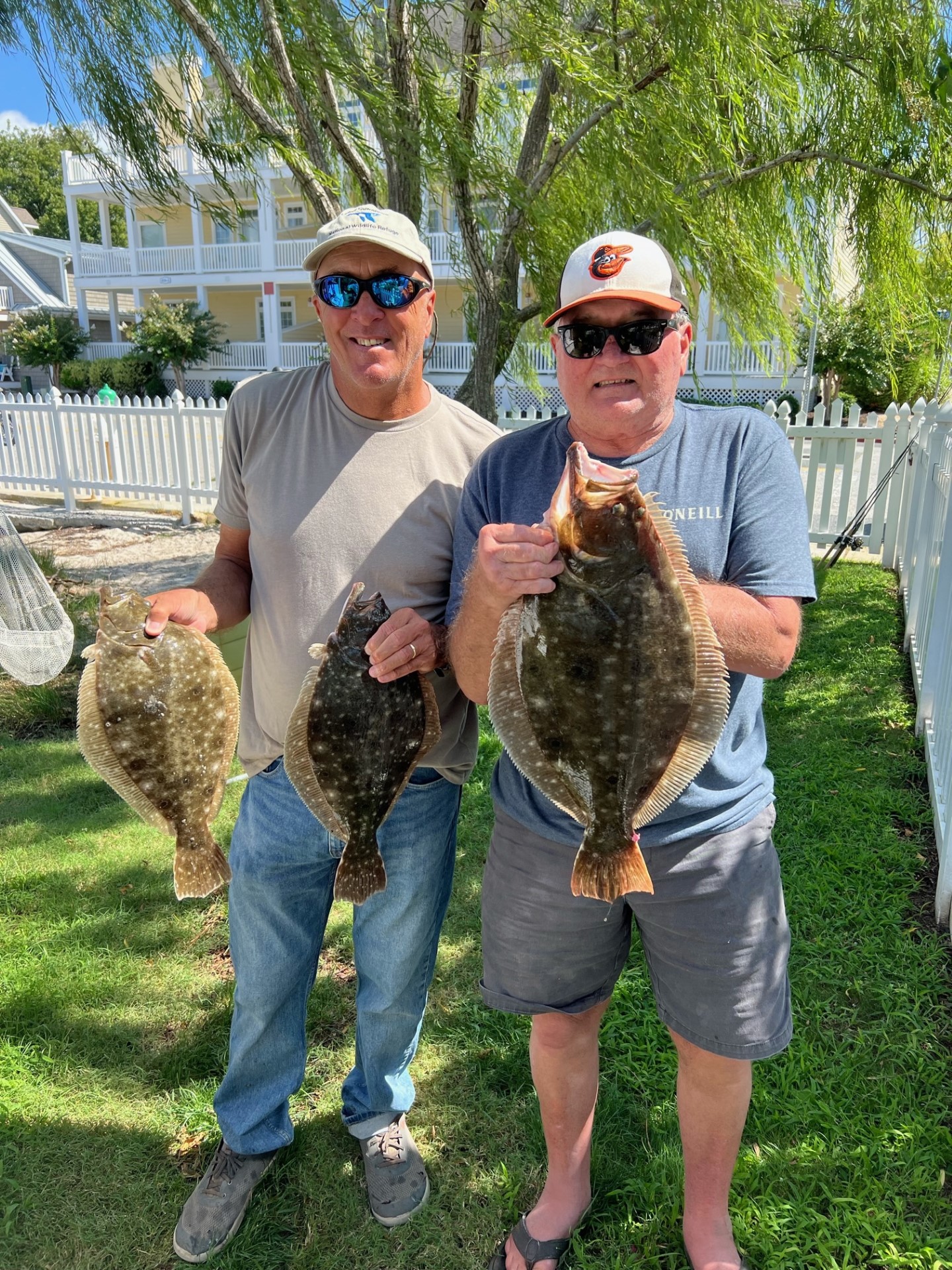 Some Flounder in The Breeze