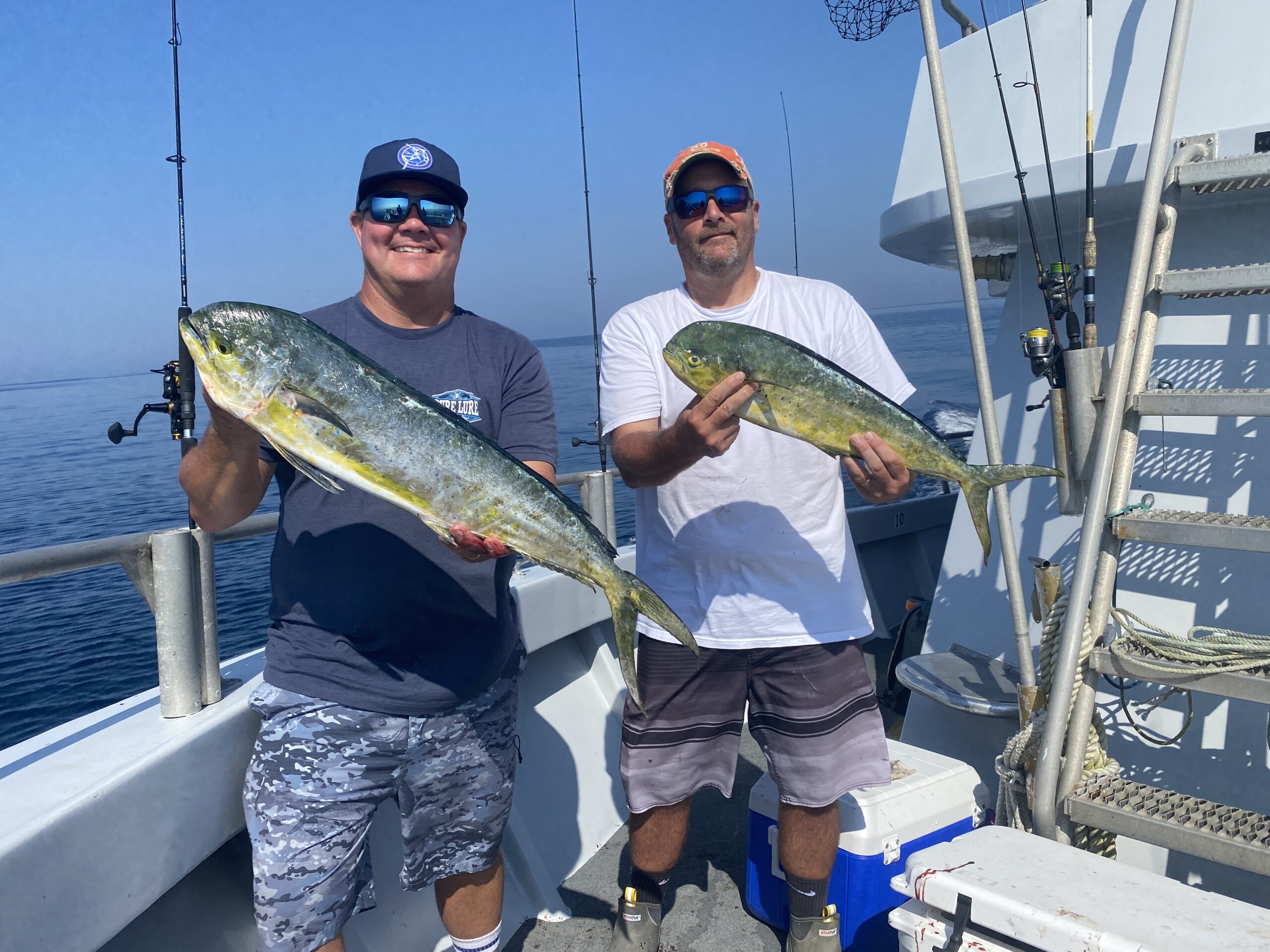 Mini Mahi, Fat Flounder and A Big Bigeye