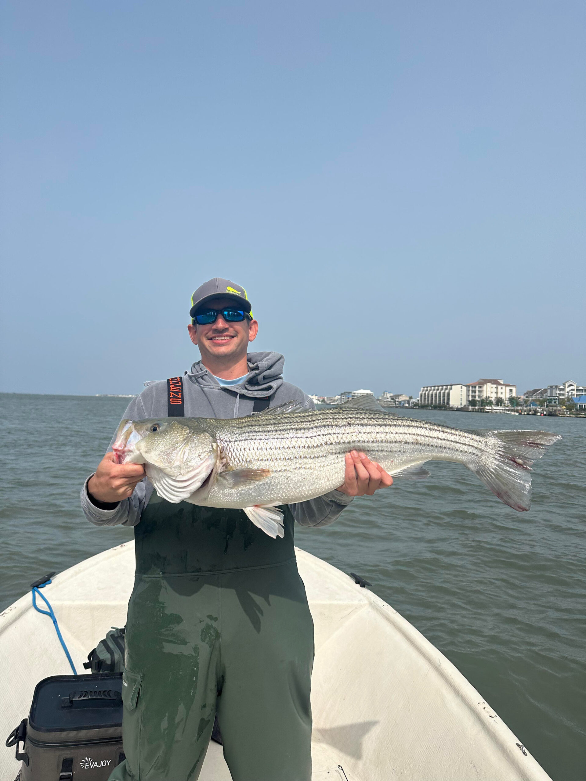 Rockfish, Flounder, Mahi & More