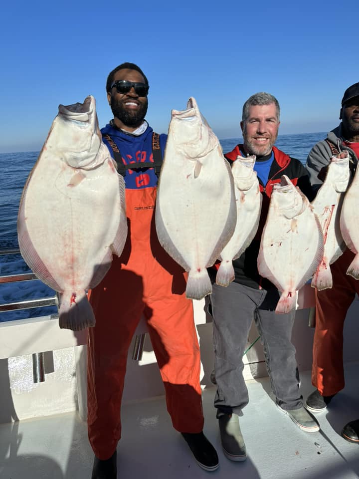 Flounder Over 7 Pounds And Sea Bass Over 4