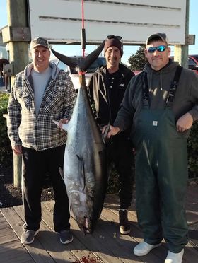 Some More Bluefin Tuna, Tautog and Red Drum