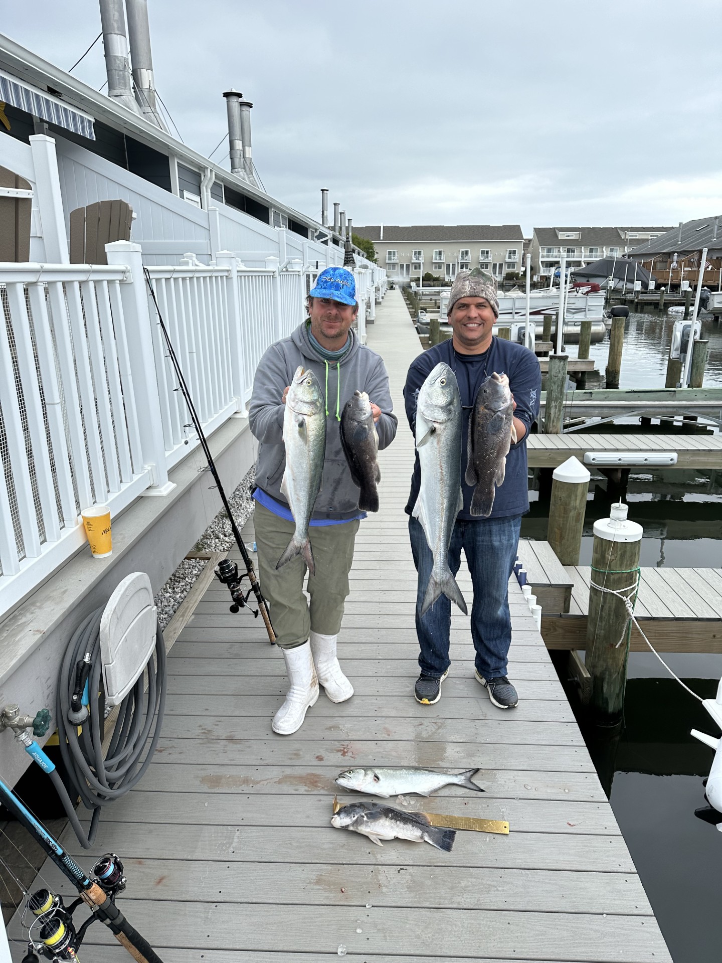 Flounder, Tog and Nice Bluefish in the Bay