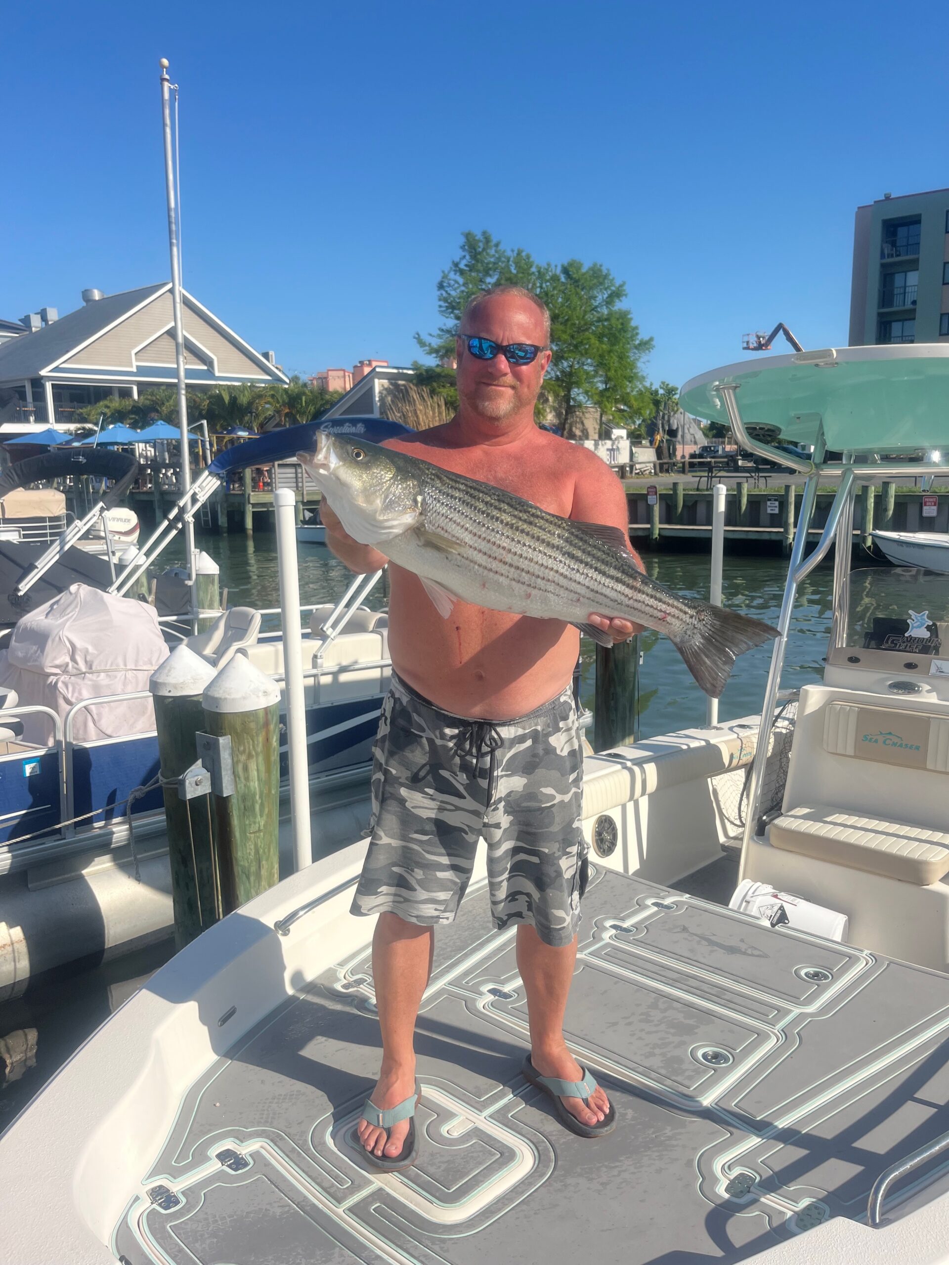 Some Nice Rockfish and Bluefish Around