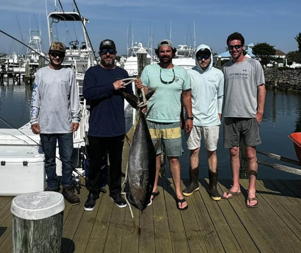 More Tunas Showing Up?