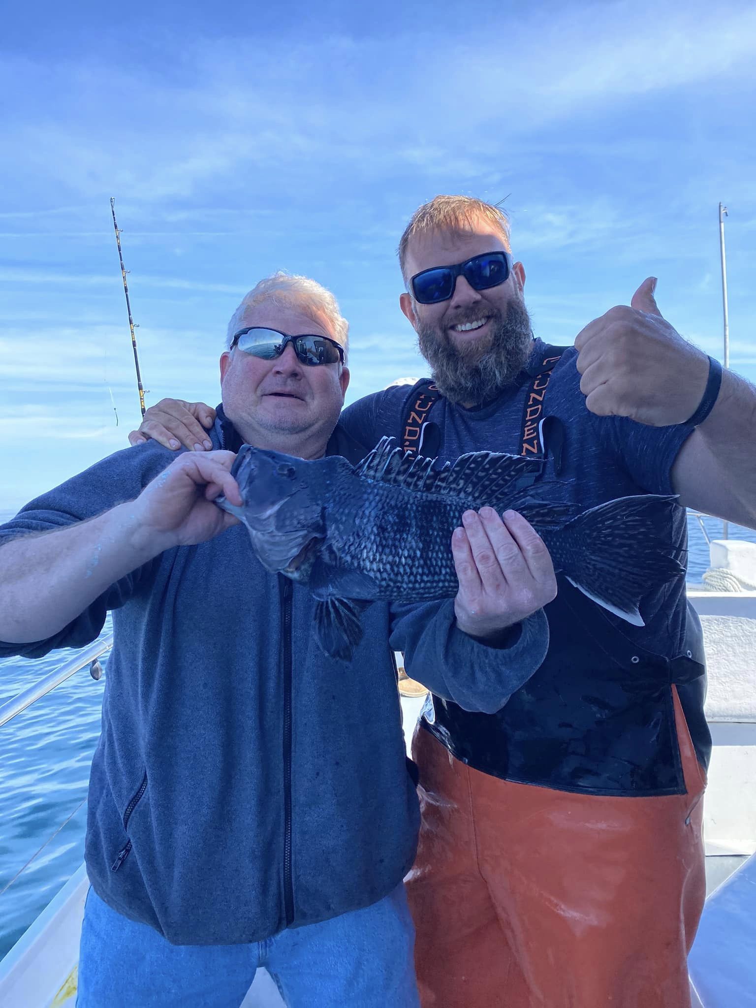 Good Quality Sea Bass and Bluefish All Over