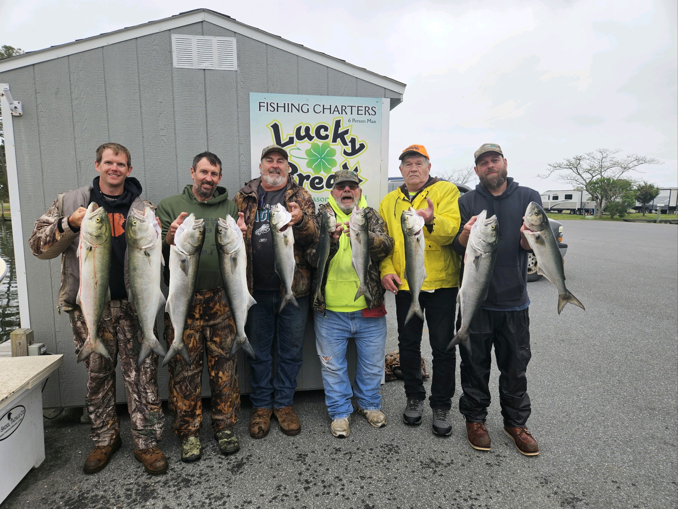 Windy Day Bluefish