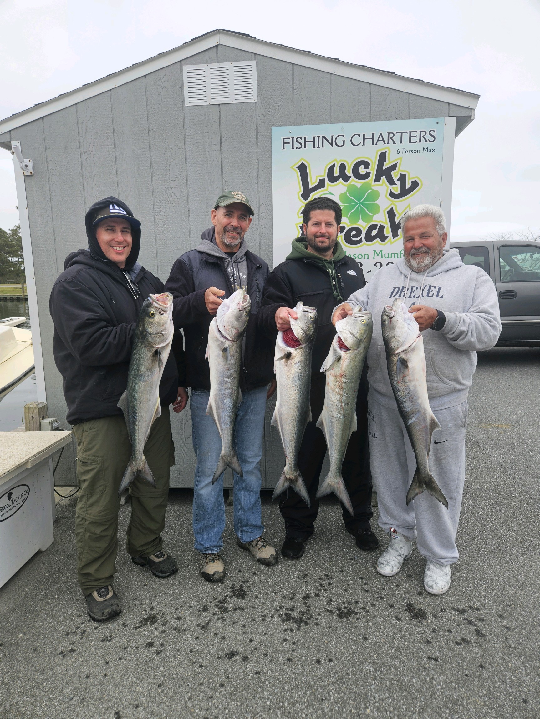 Bluefish in a Breeze