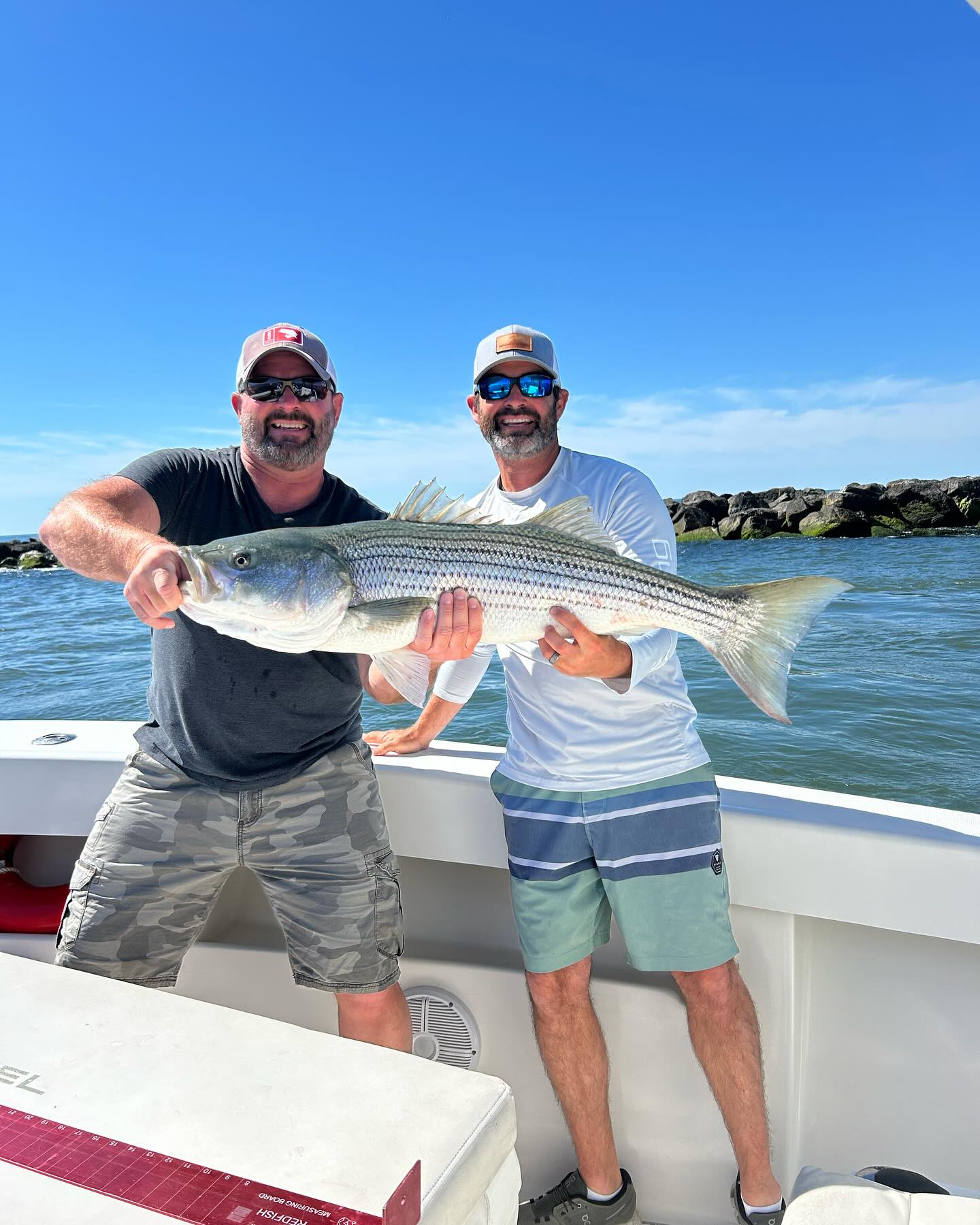 Calm Before The Storm?