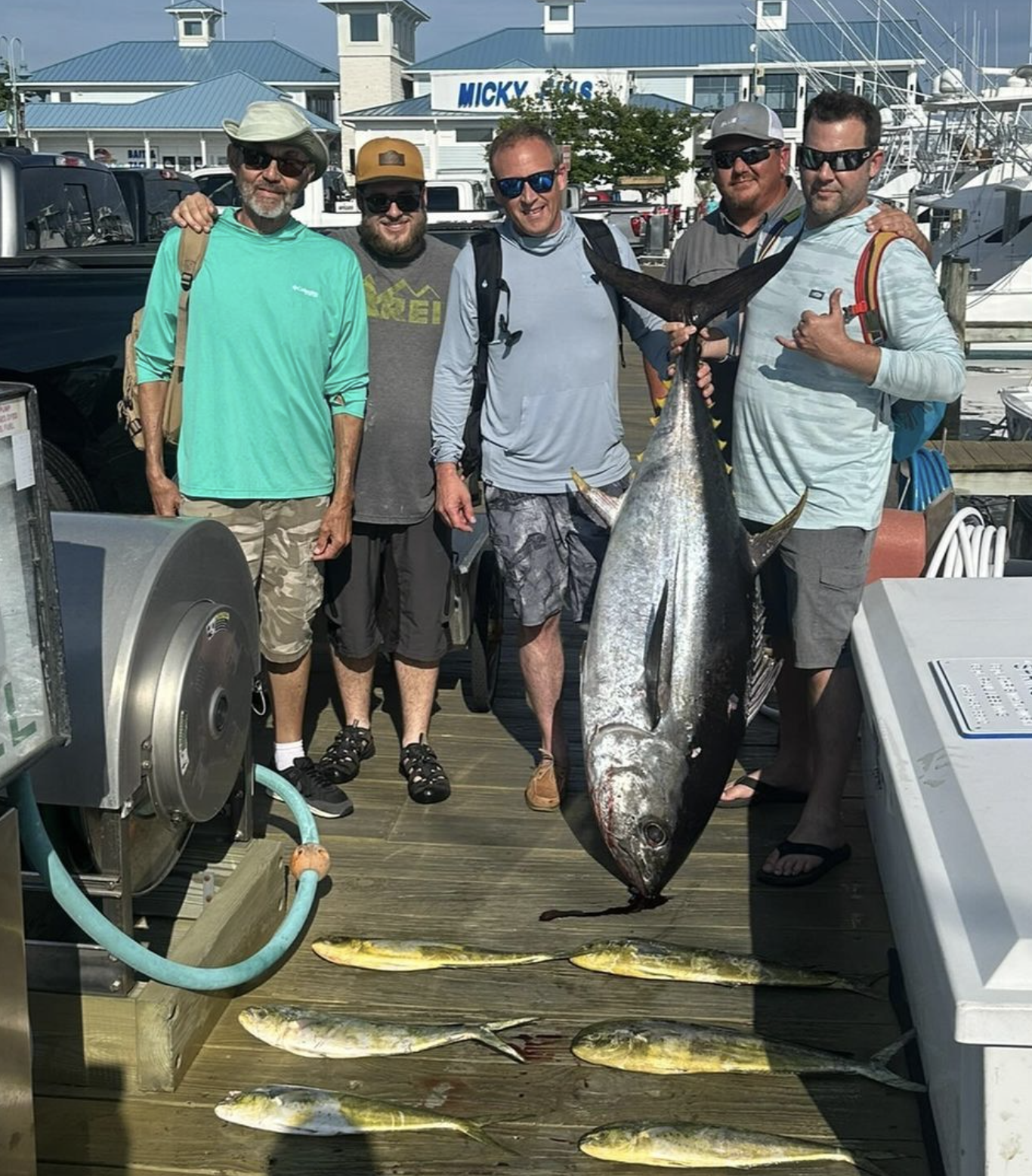 A Few More Tunas Here and There