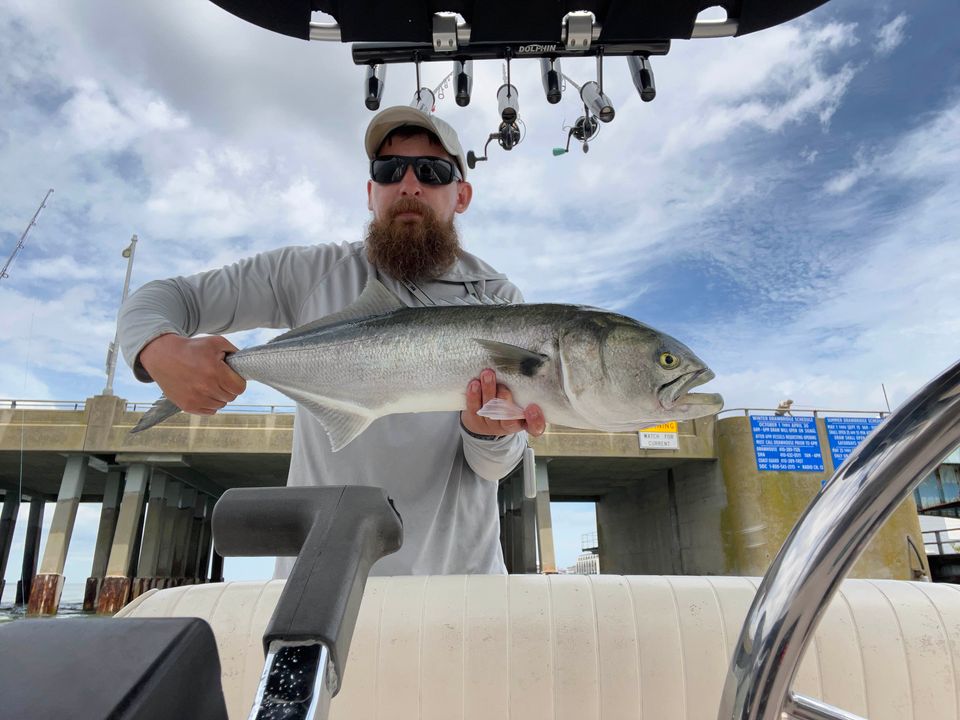 Nice Bluefish Around