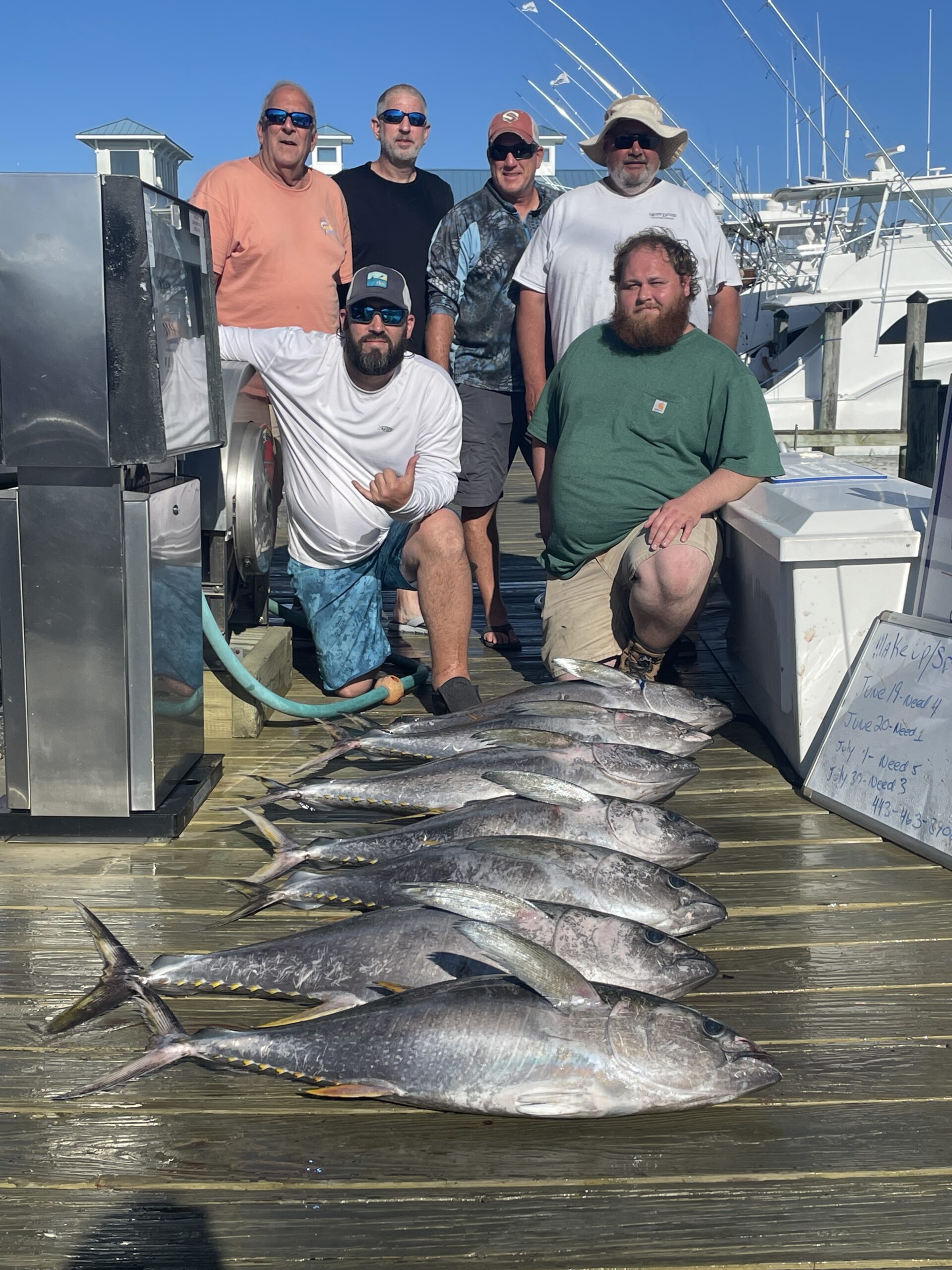 Some Cobia and Yellowfin in The Ocean