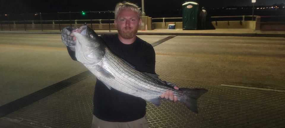 Nice Rockfish and Bluefish Around