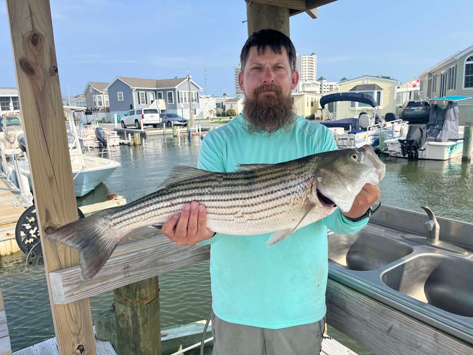 Windy, But Still Saw Some Fish Caught